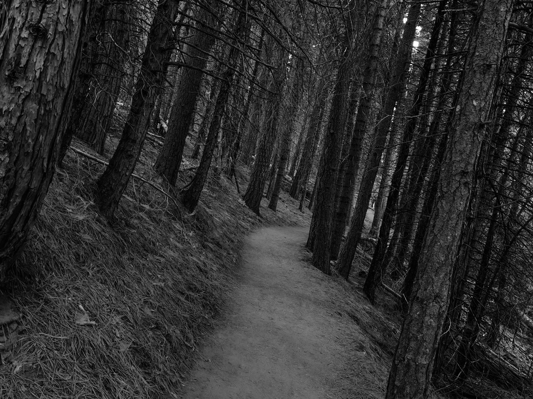 Derek in the RAW 3.23-9.jpg