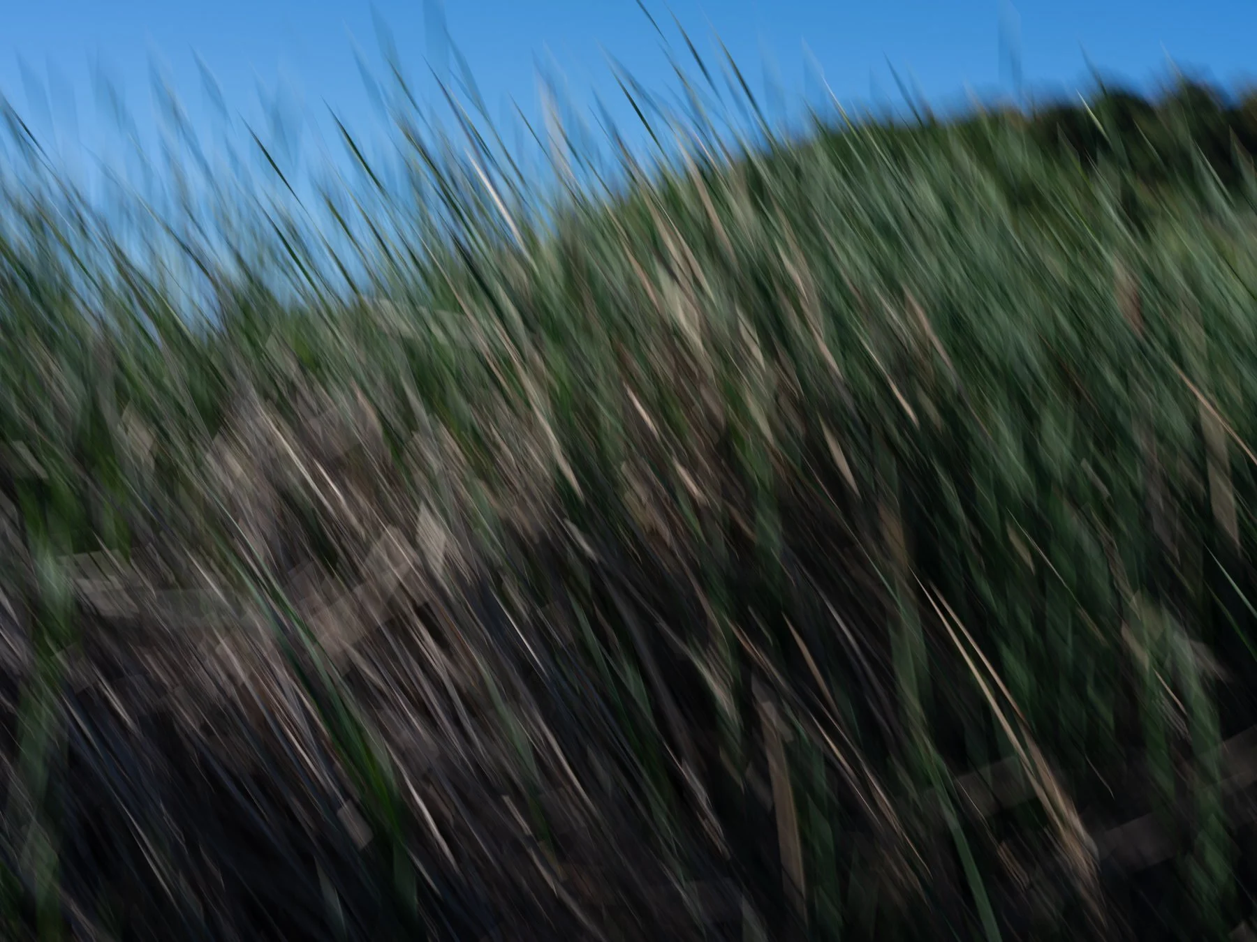 Derek in the RAW 3.23-54.jpg