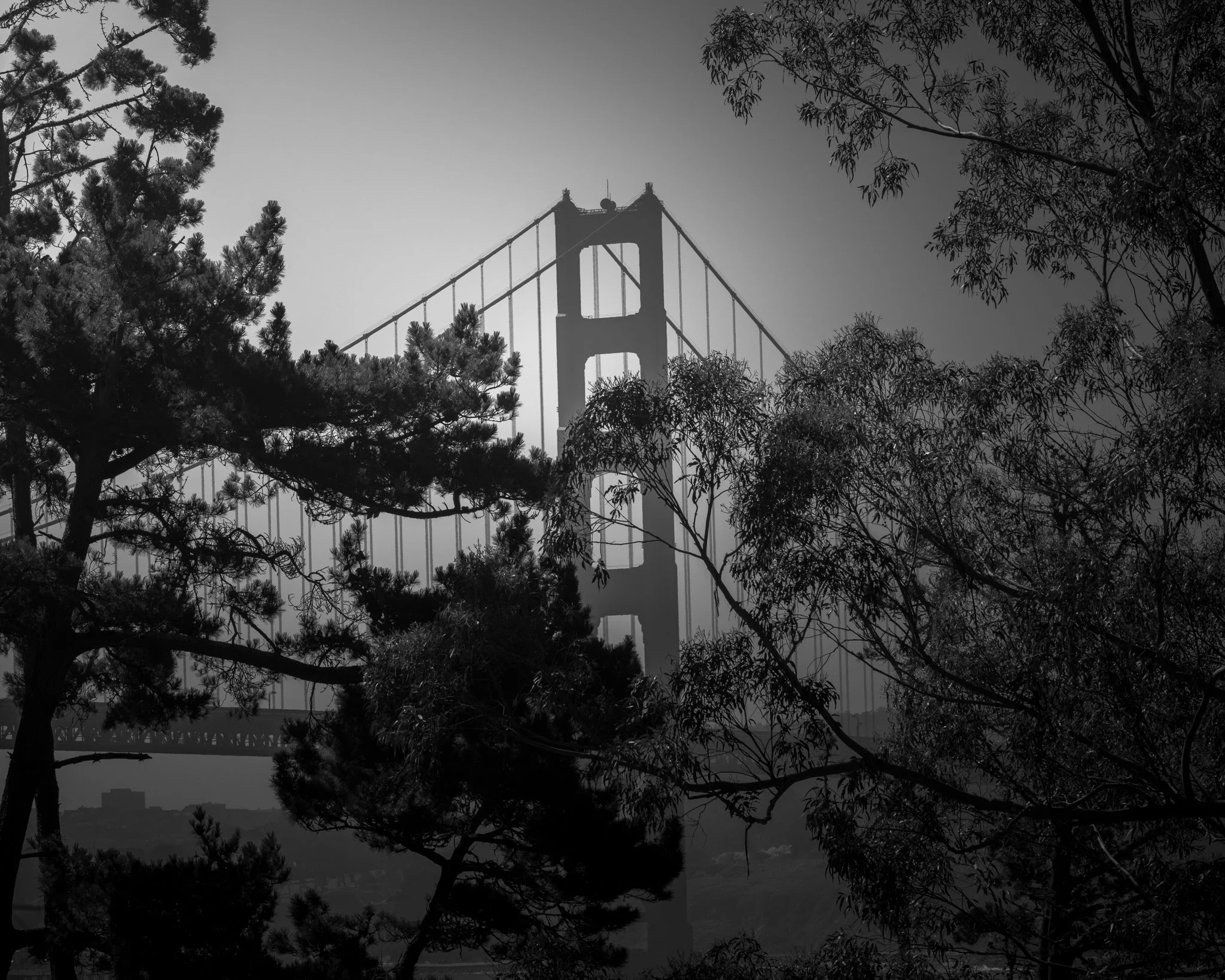 DSCF4955.jpg