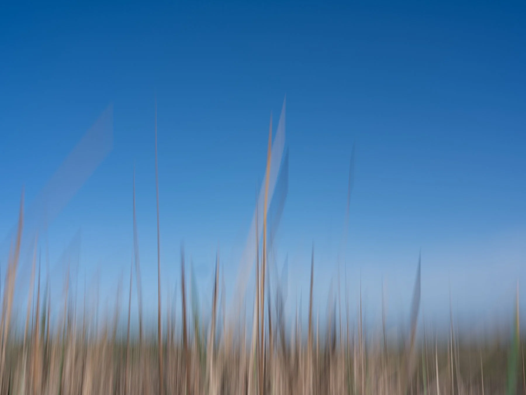 Derek in the RAW 3.23-46.jpg