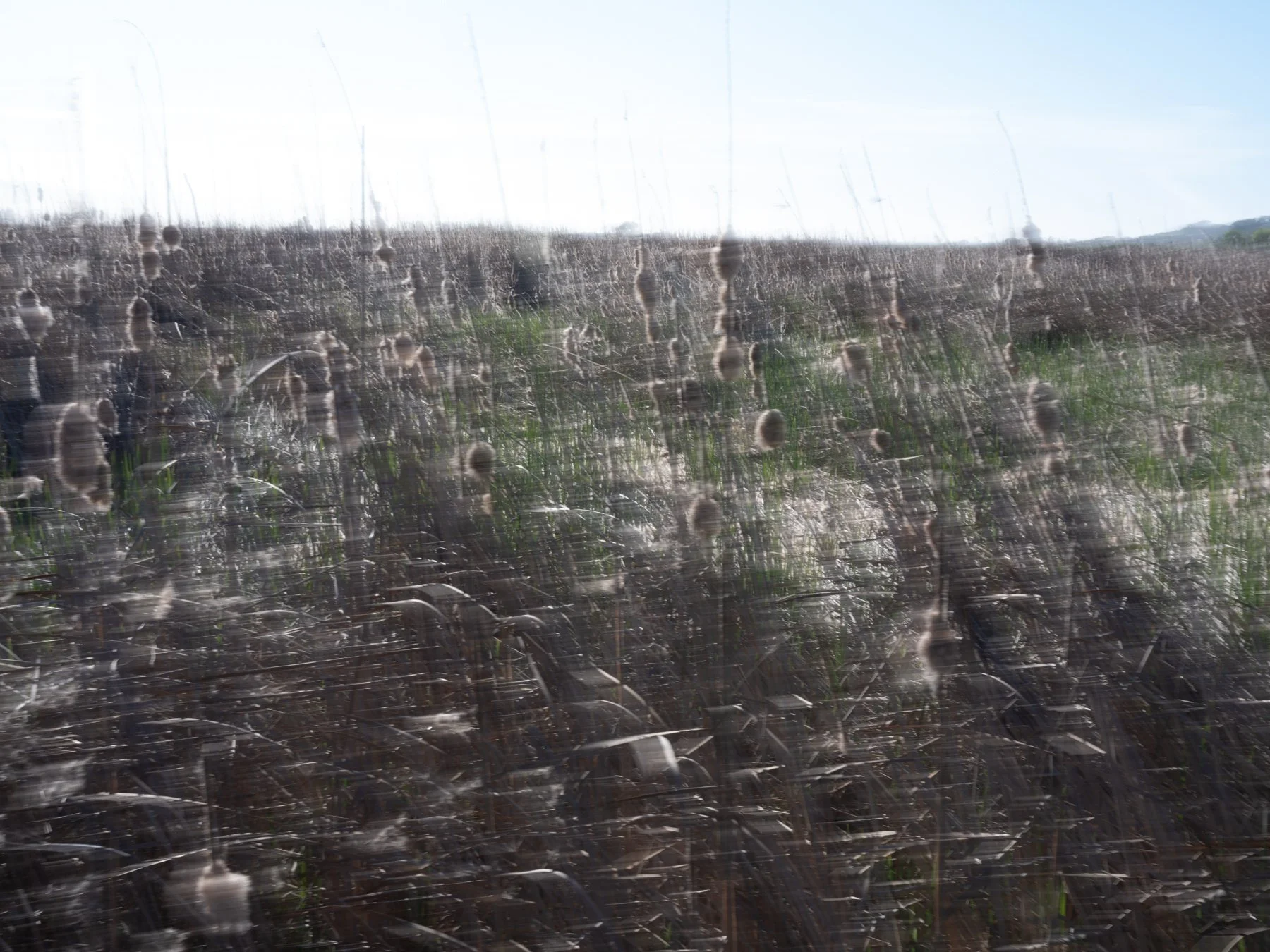 Derek in the RAW 3.23-61.jpg