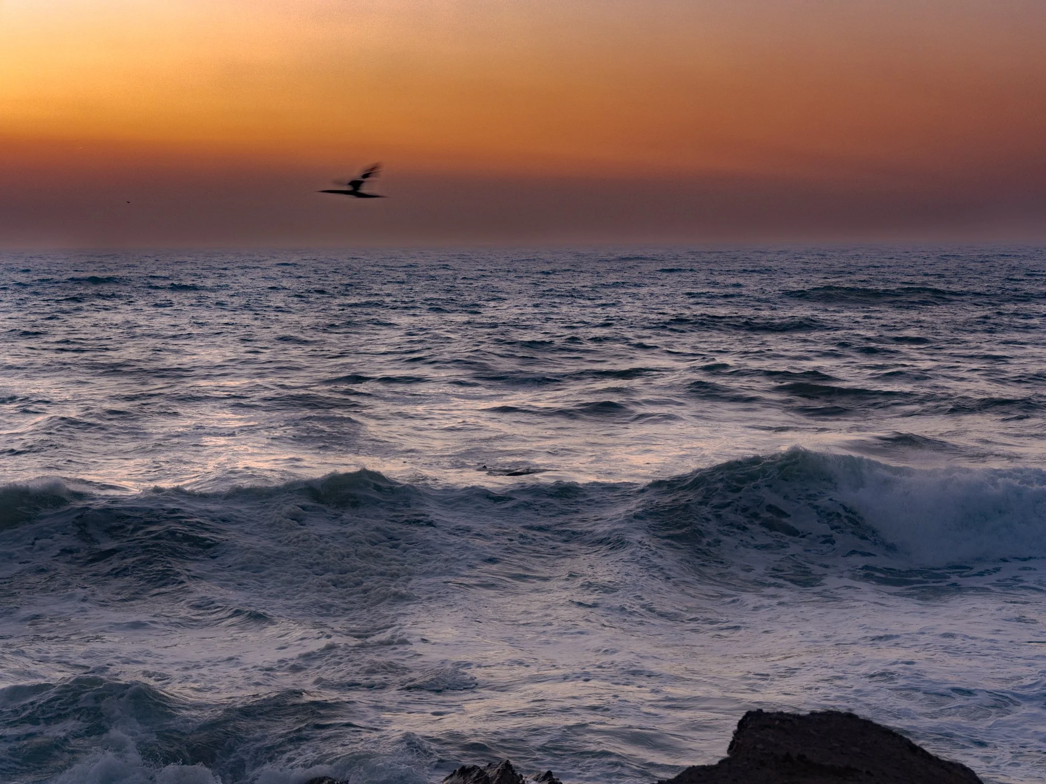 Montana De Oro - California Coast