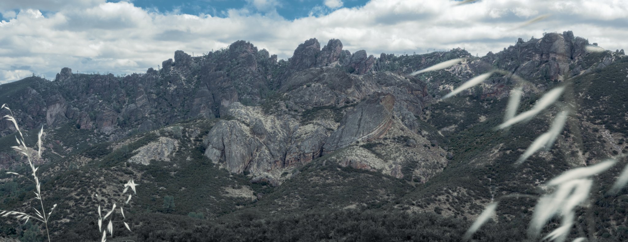 DSCF1370-Edit.jpg