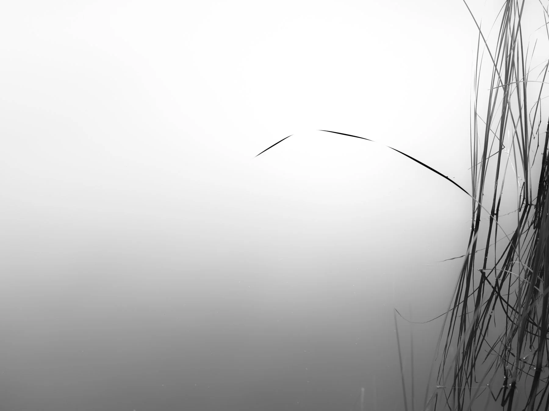 DSCF7707.jpg