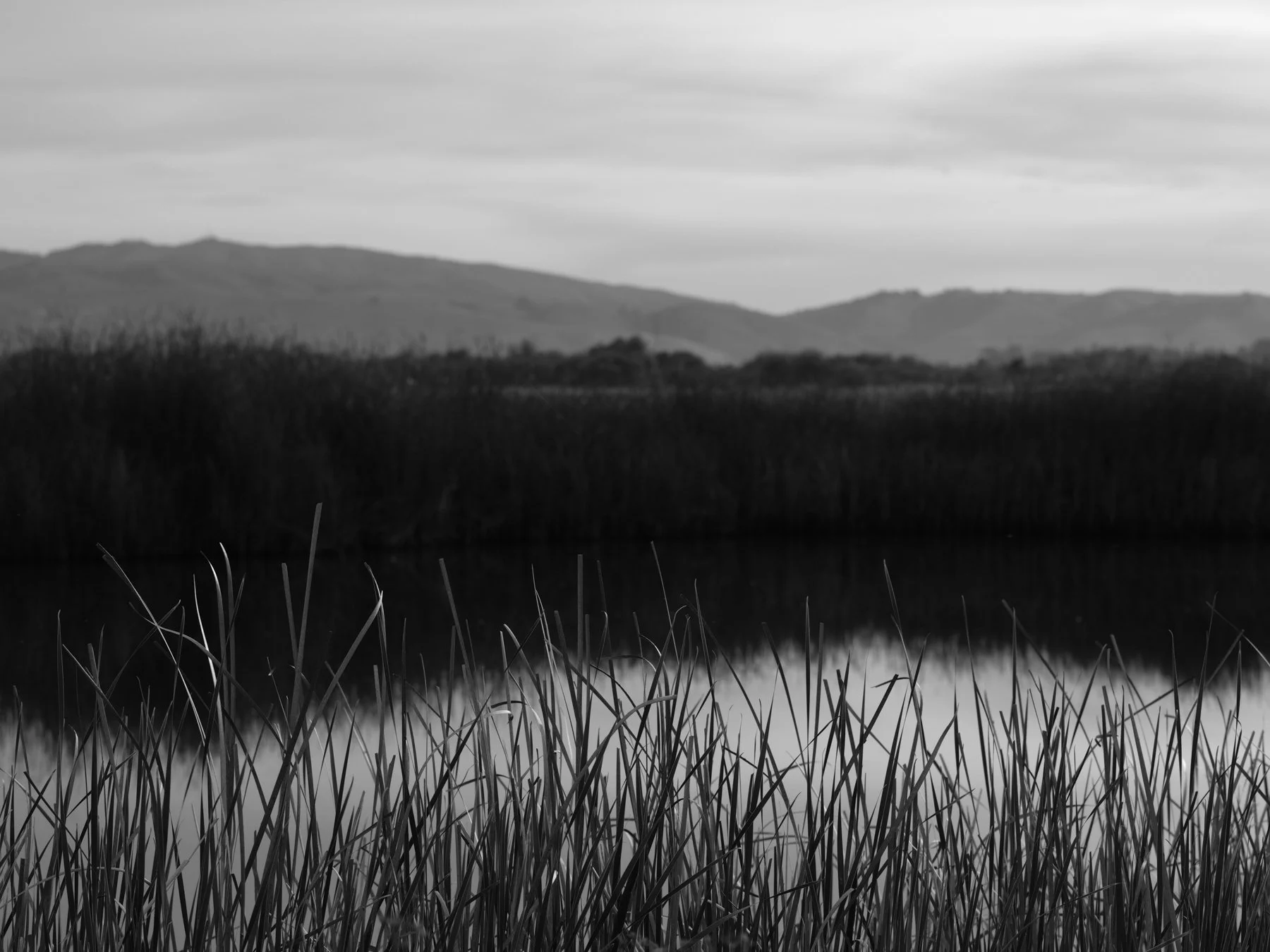 DSCF7694.jpg
