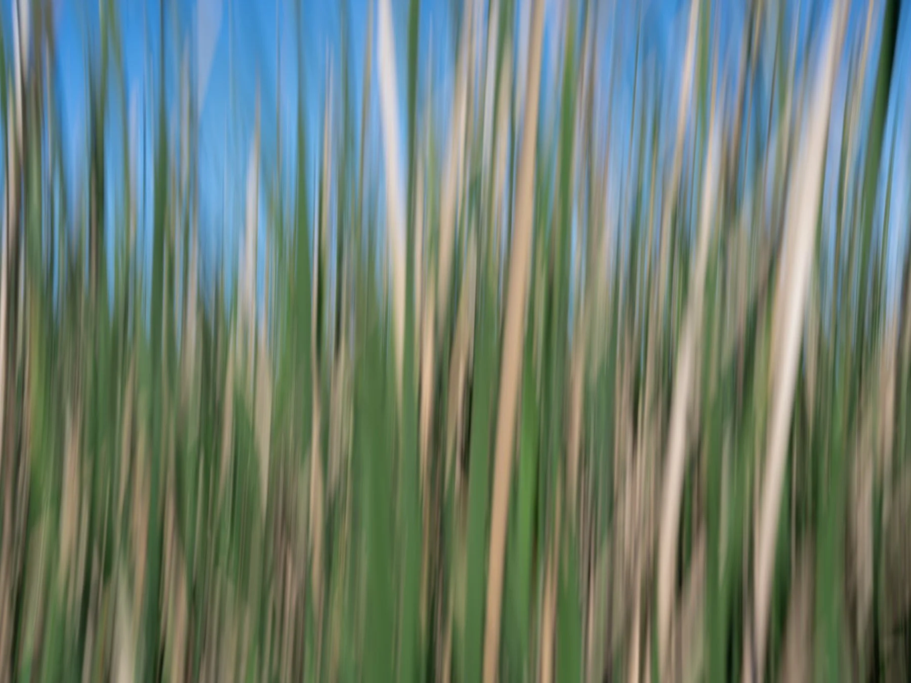 Derek in the RAW 3.23-72.jpg