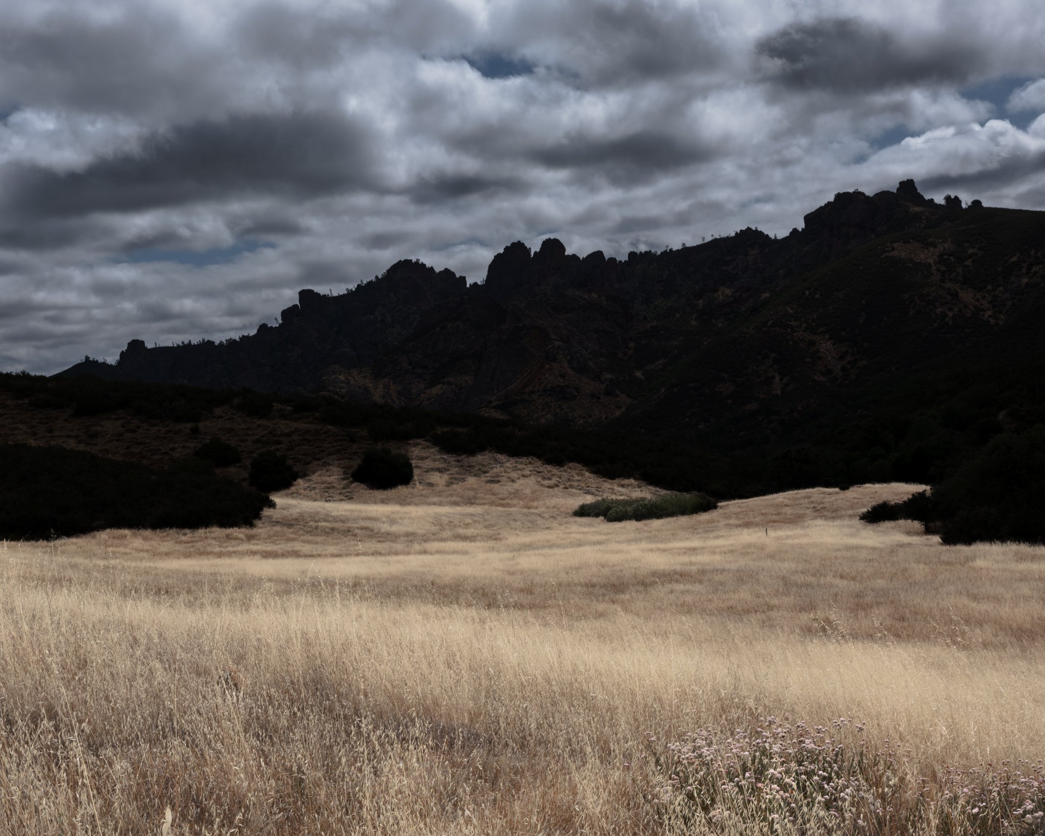 Peaks & Pinnacles - California Central Valley