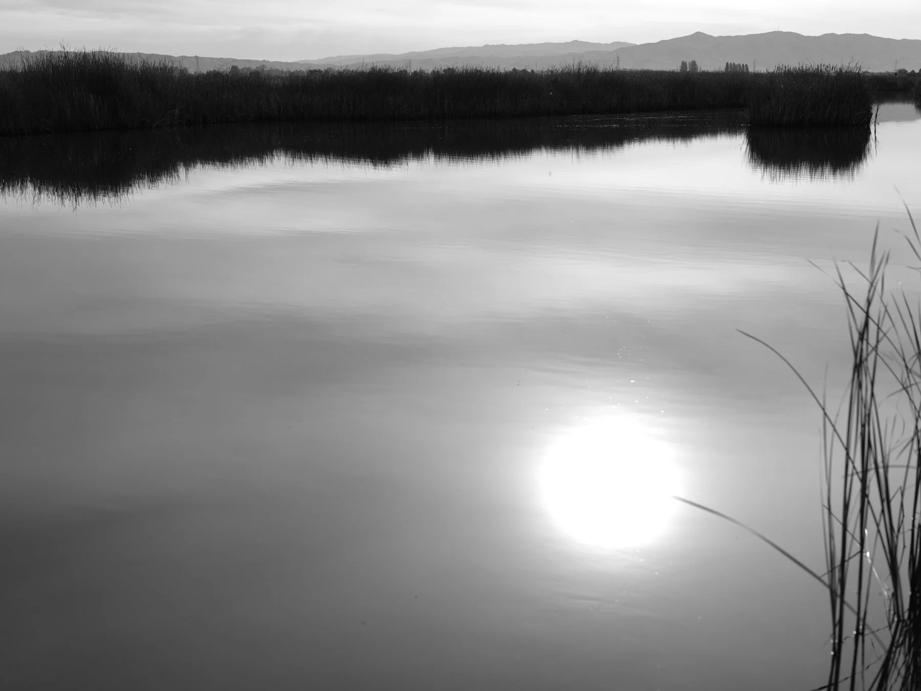 DSCF7699.jpg