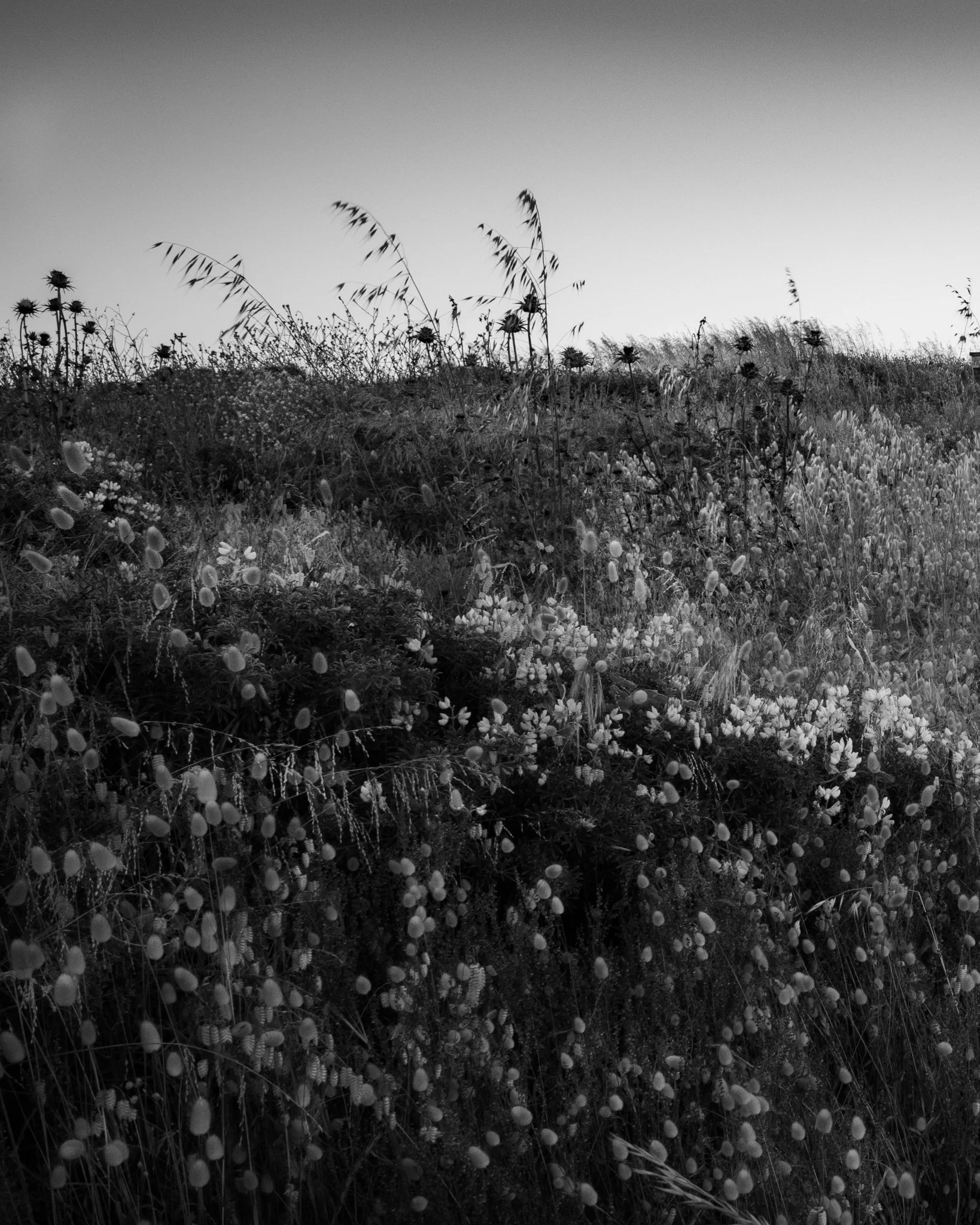 R0006686.jpg