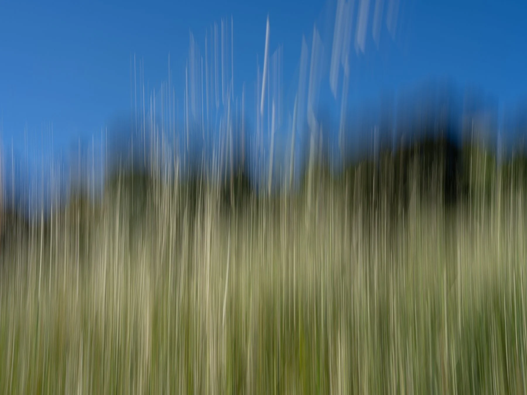 Derek in the RAW 3.23-32.jpg