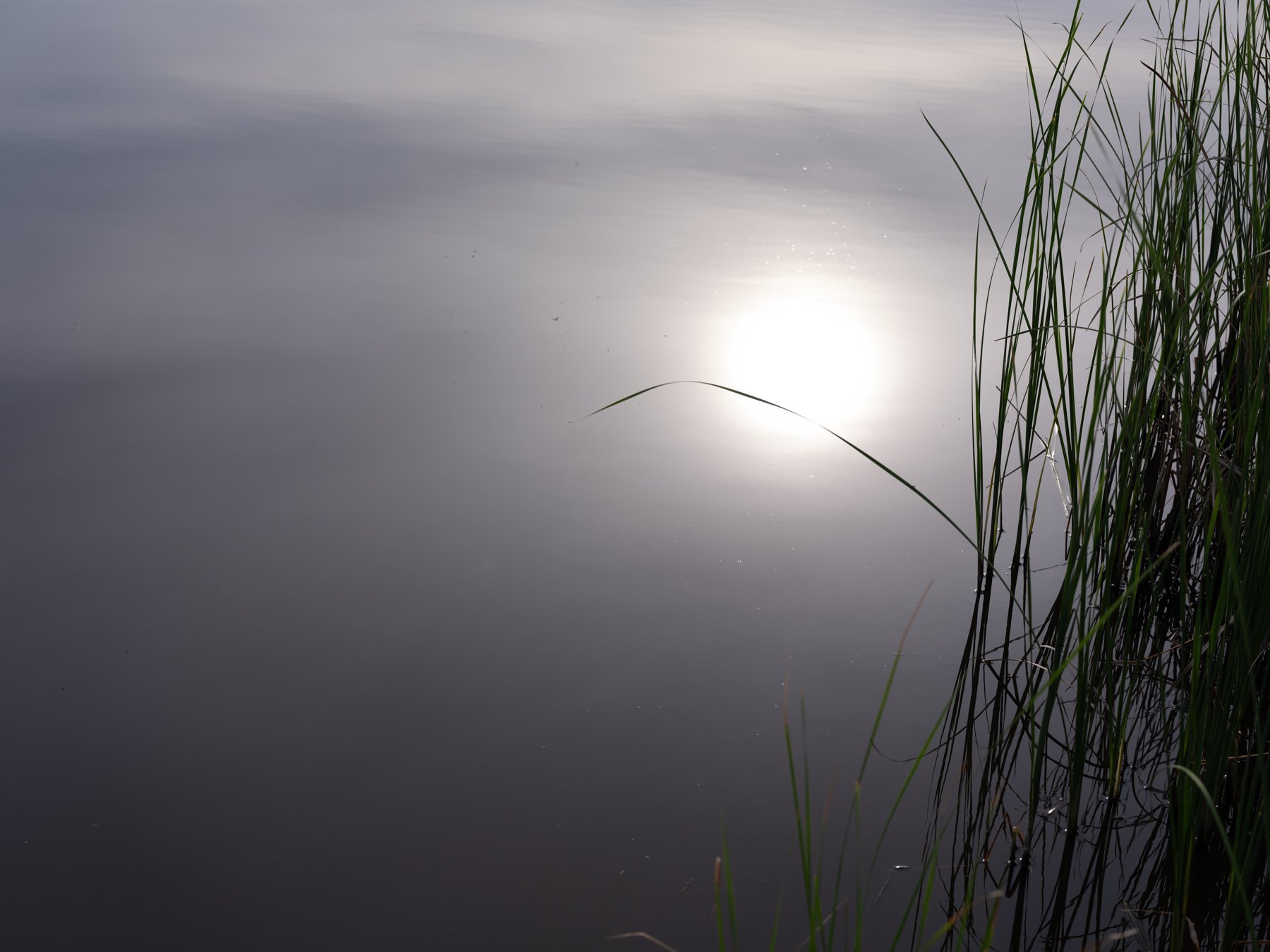 DSCF7704.jpg