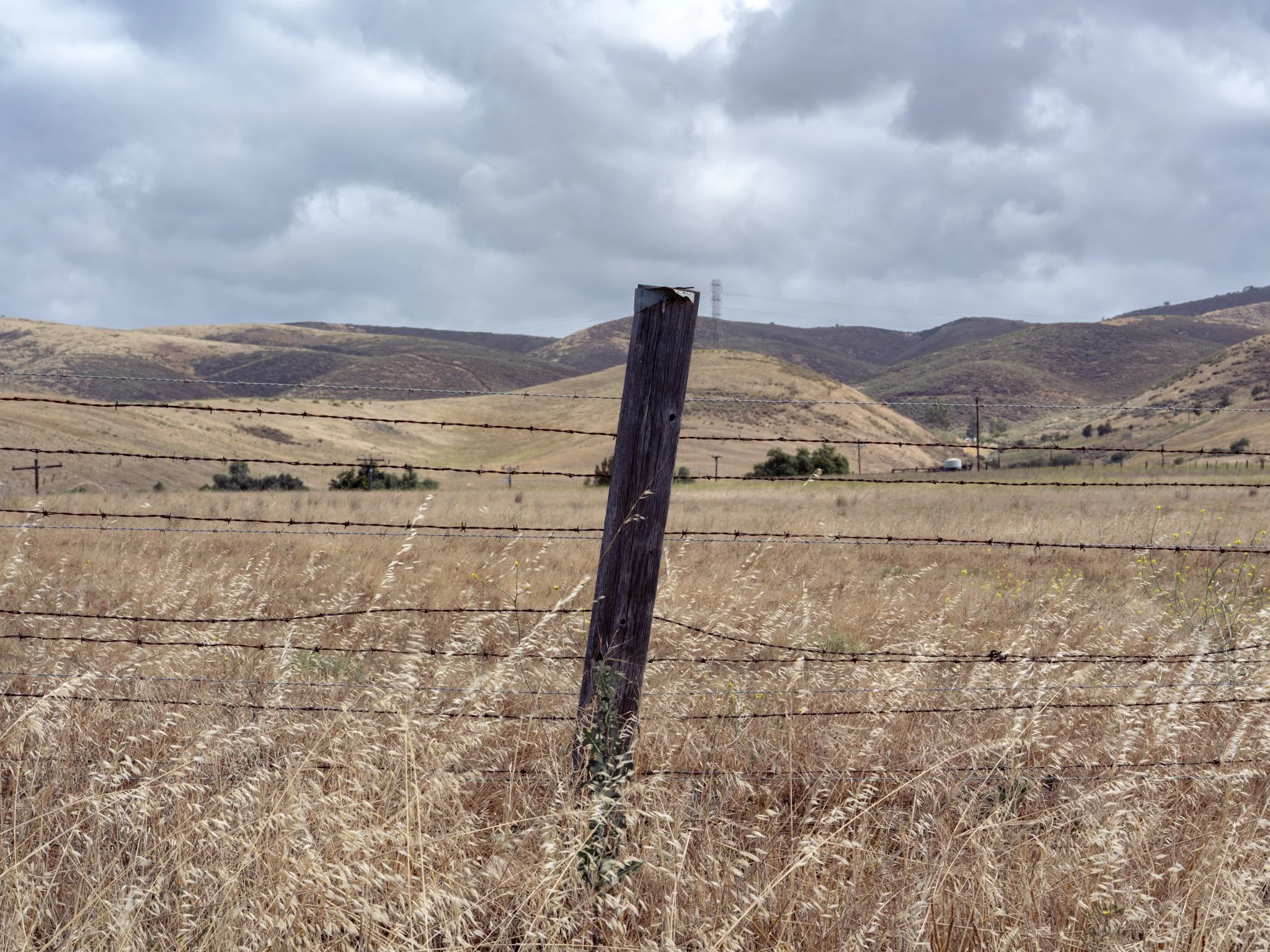 DSCF1284-2.jpg