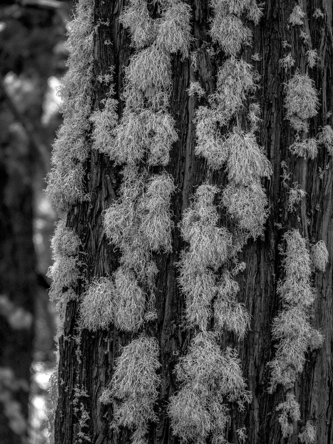 Derek in the RAW 3.23-5.jpg