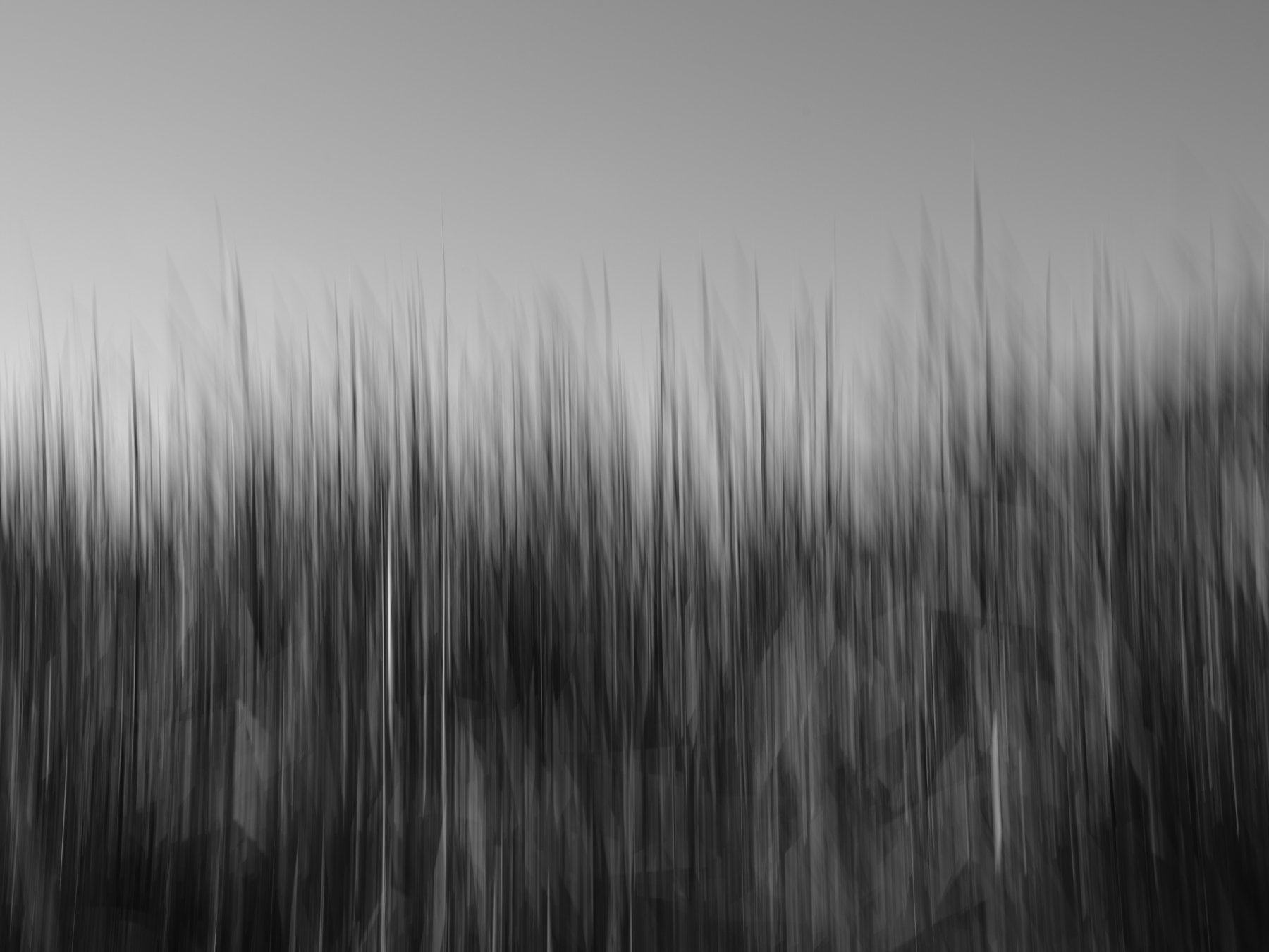 Derek in the RAW 3.23-49.jpg