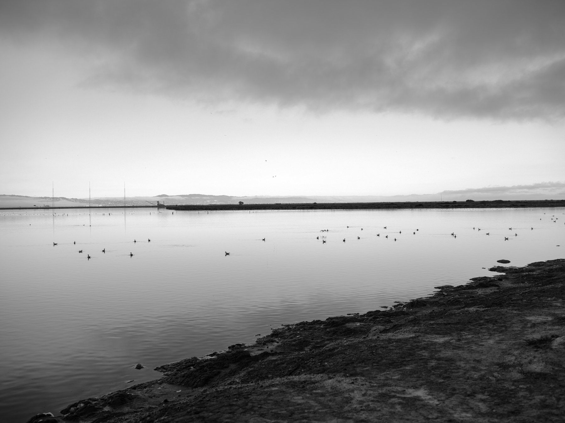 DSCF4973.jpg