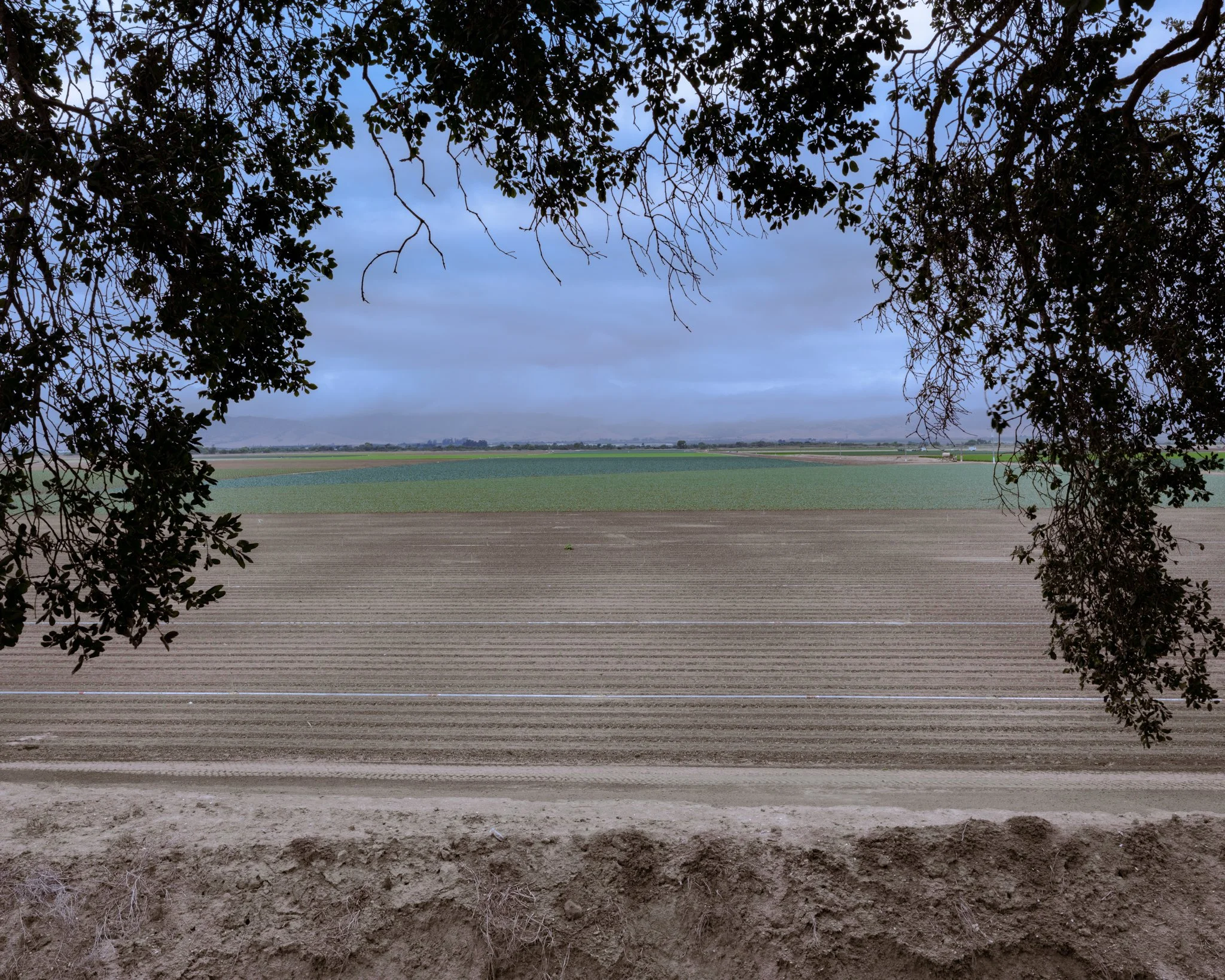 DSCF1242.jpg