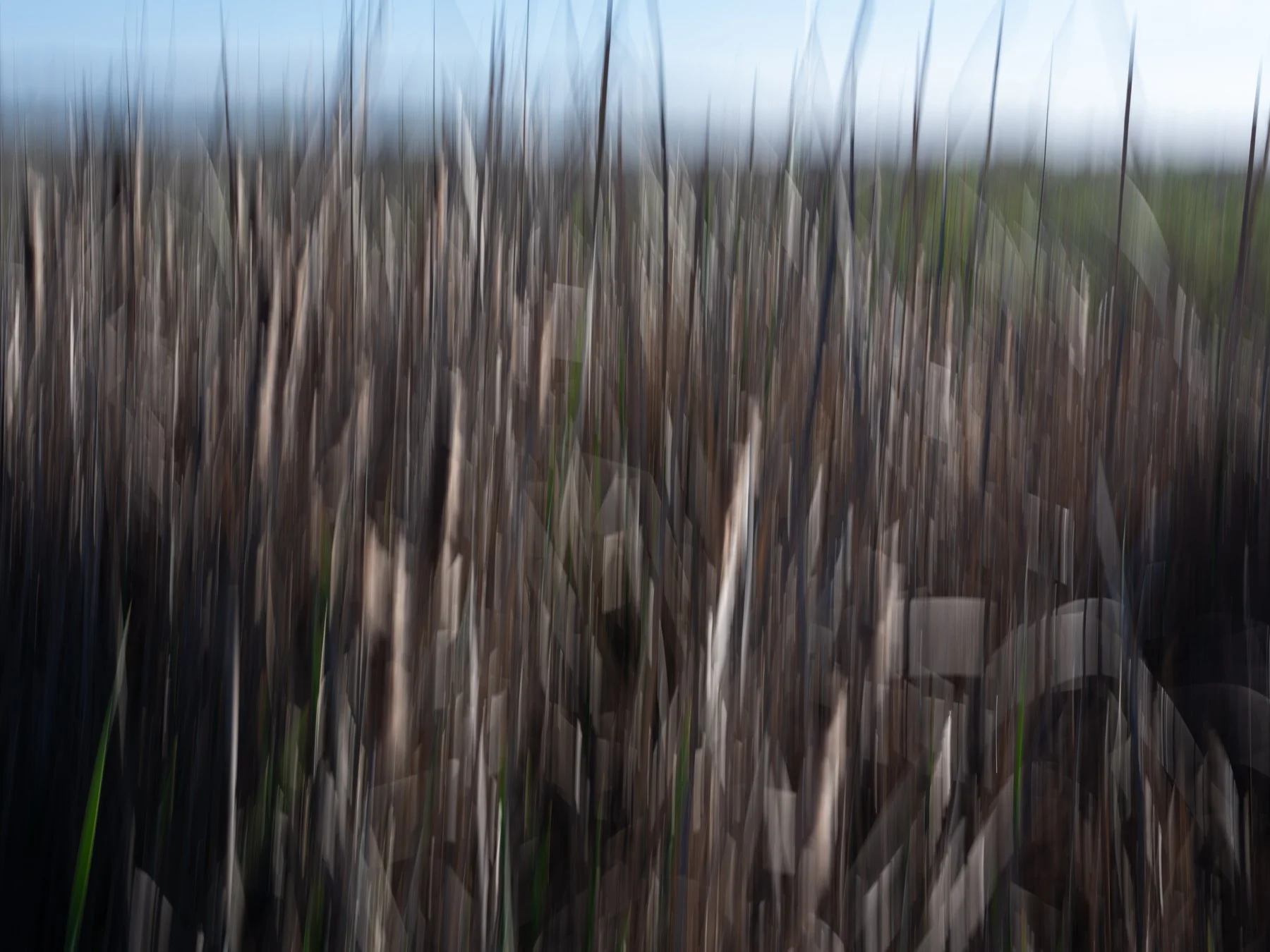 Derek in the RAW 3.23-45.jpg