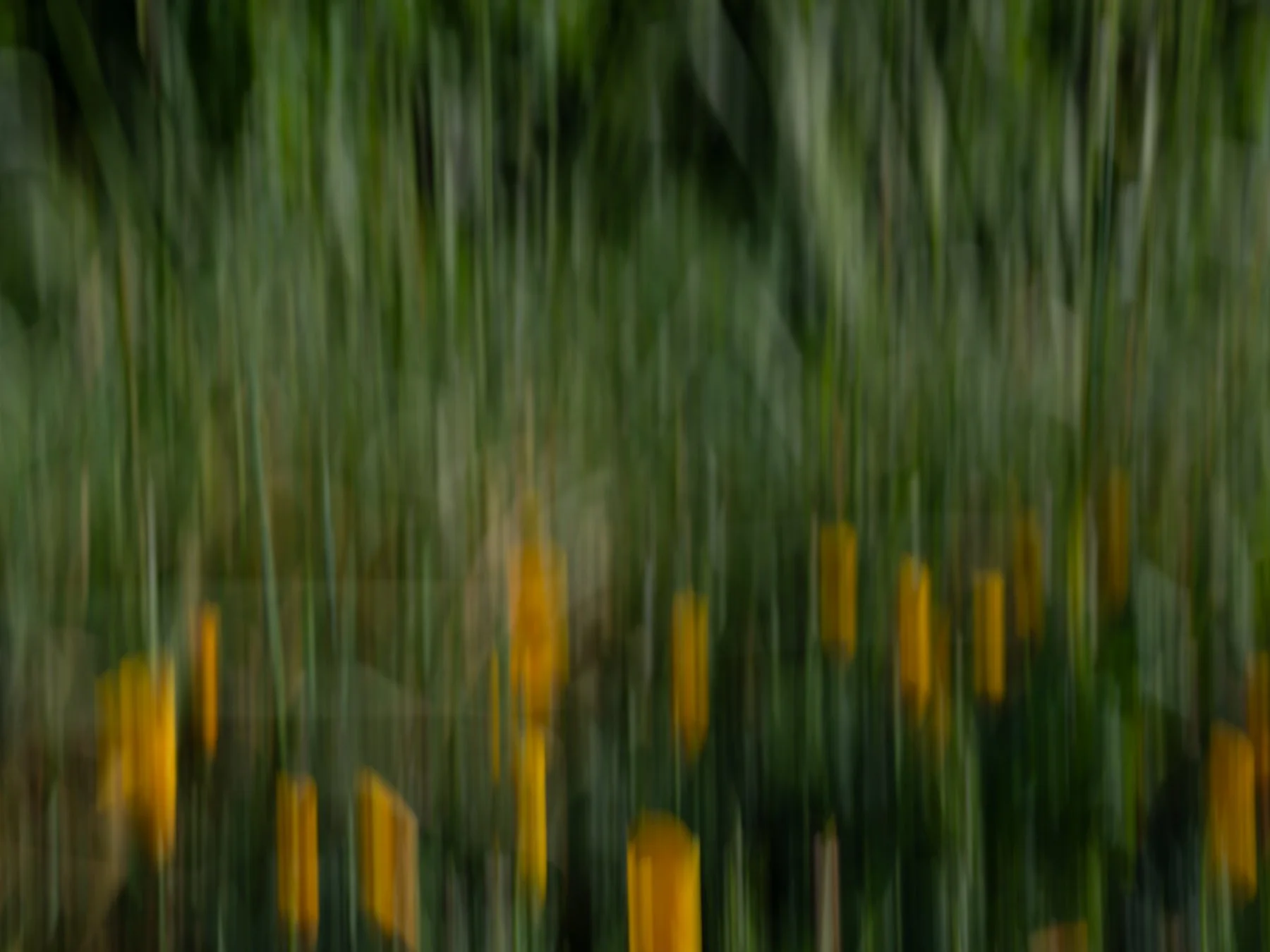 Derek in the RAW 3.23-42.jpg