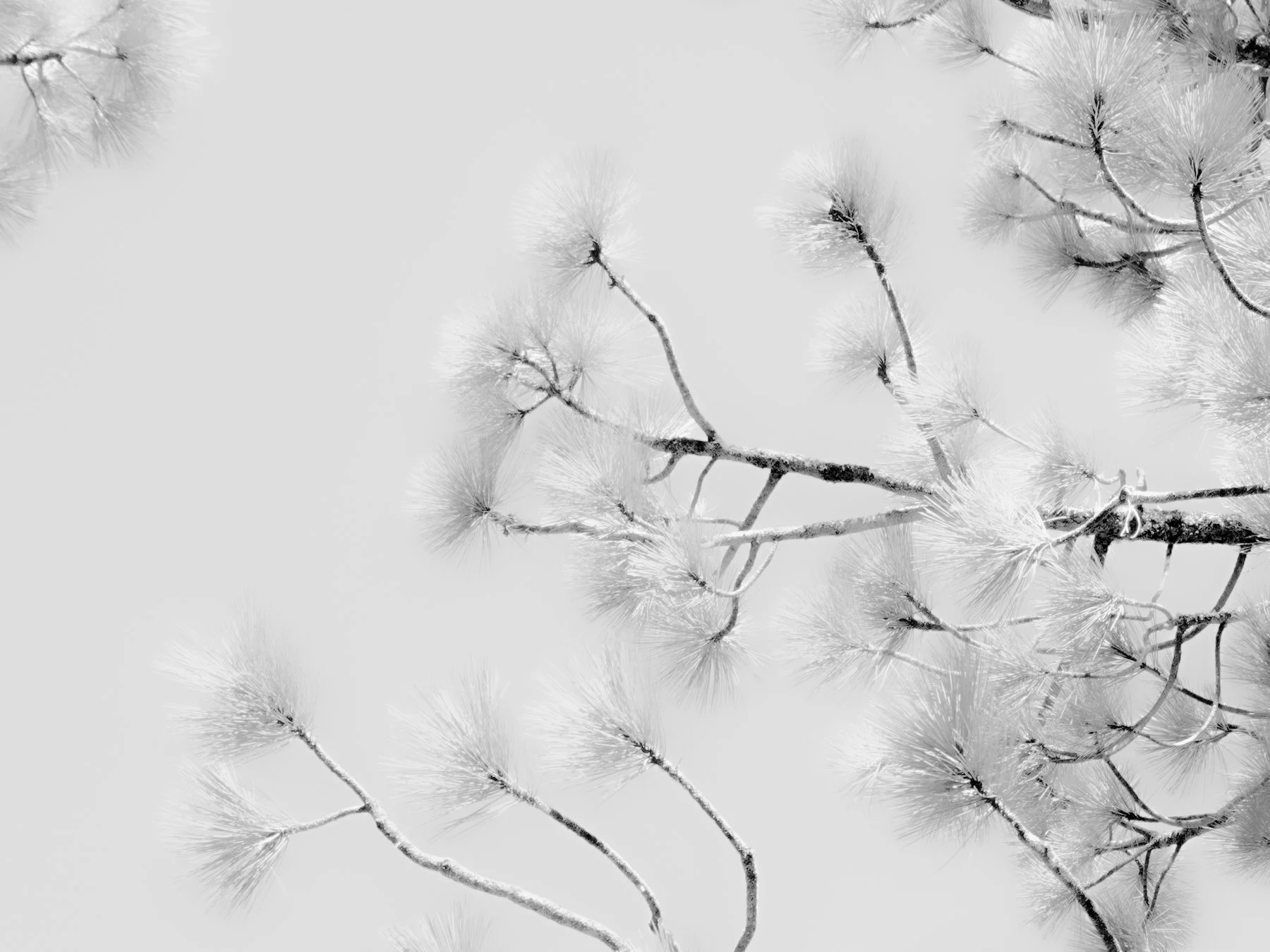 Derek in the RAW 3.23-3.jpg