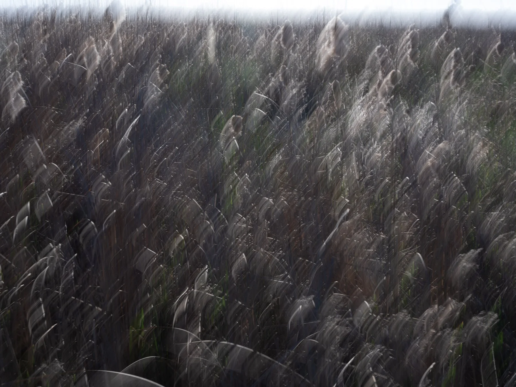 Derek in the RAW 3.23-58.jpg