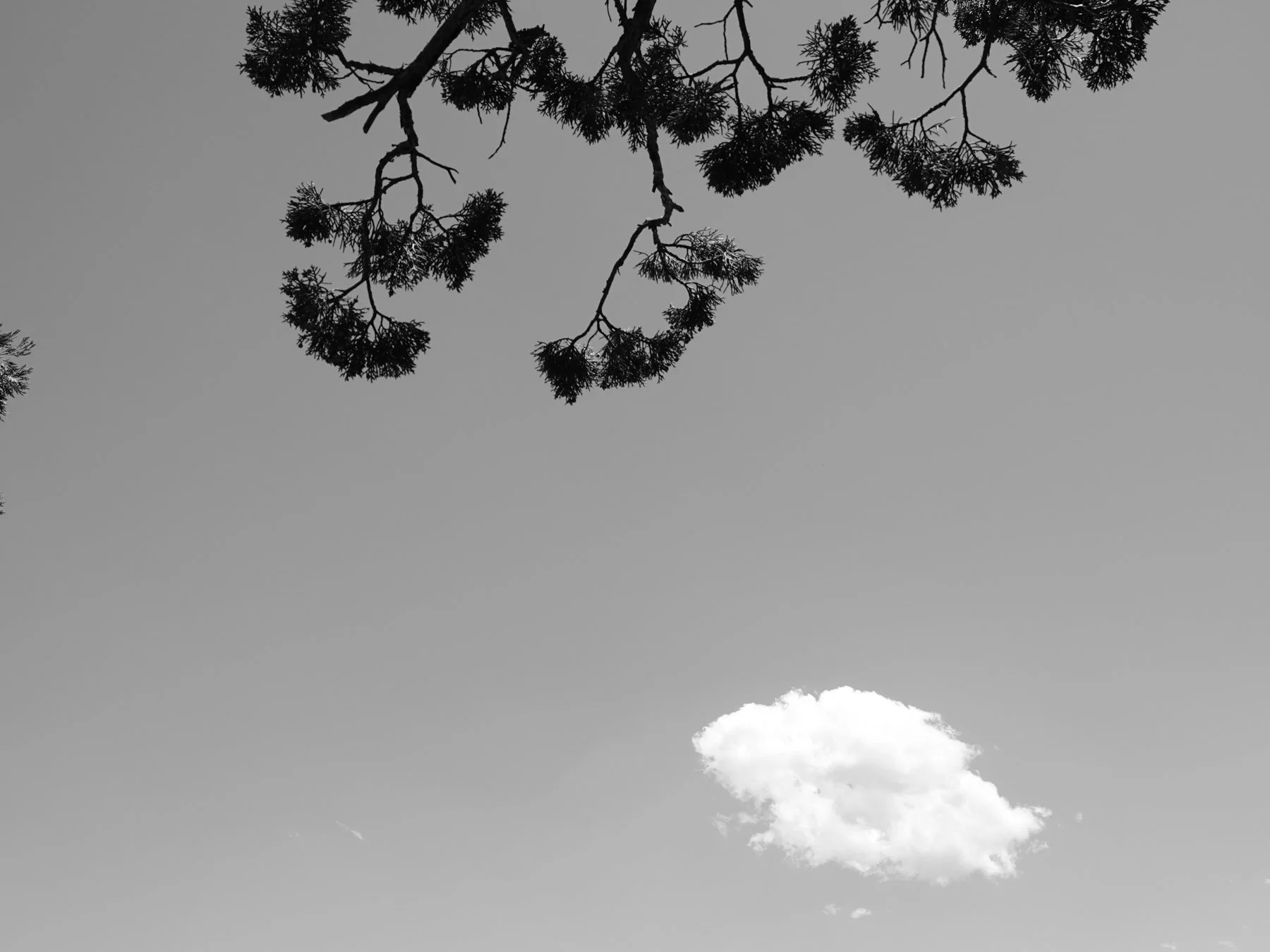 Derek in the RAW 3.23-4.jpg