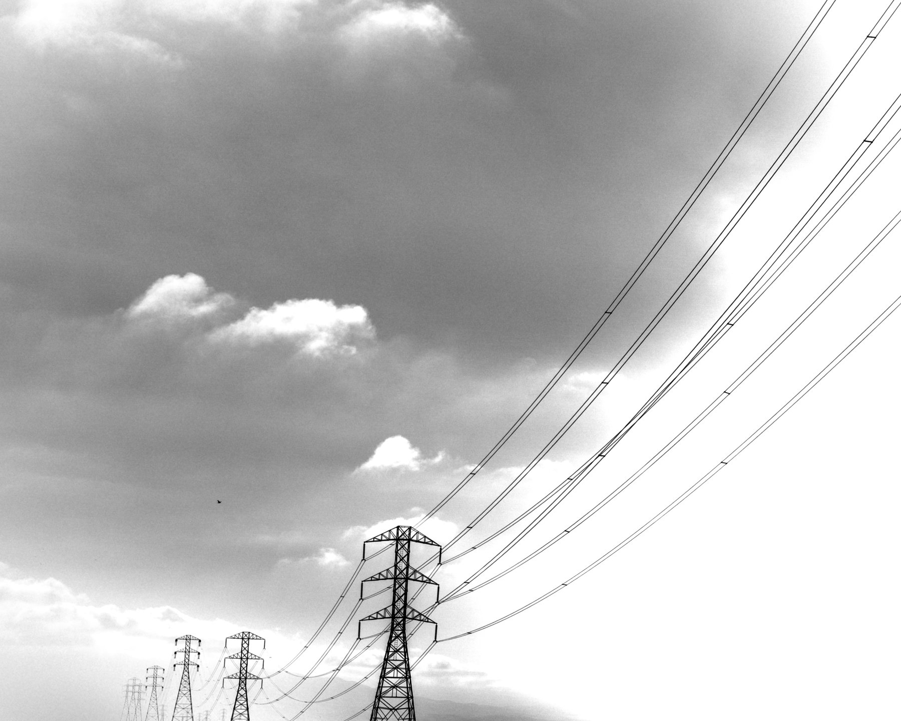 DSCF8180.jpg
