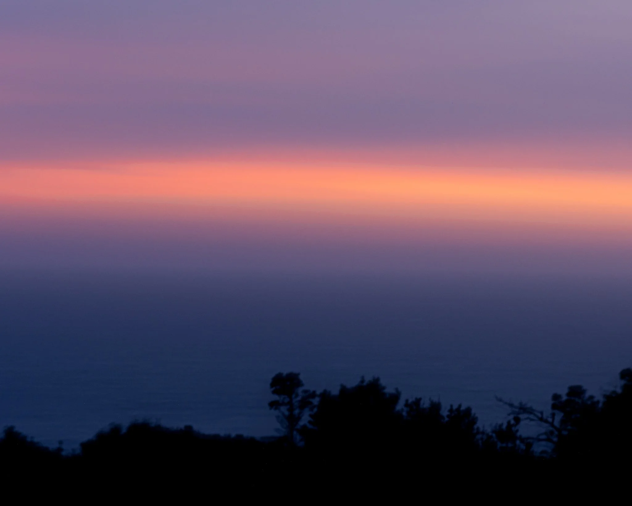DSCF3726.jpg