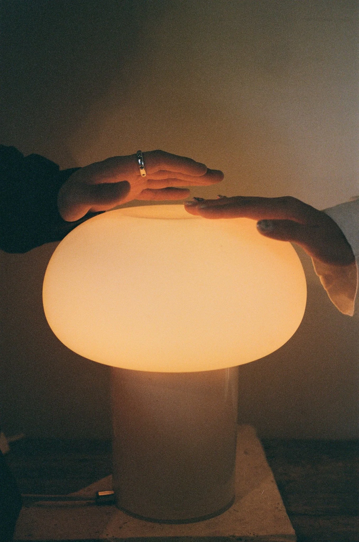 FILM_RACHEL+ANSON_KODAK 400-0007.jpg