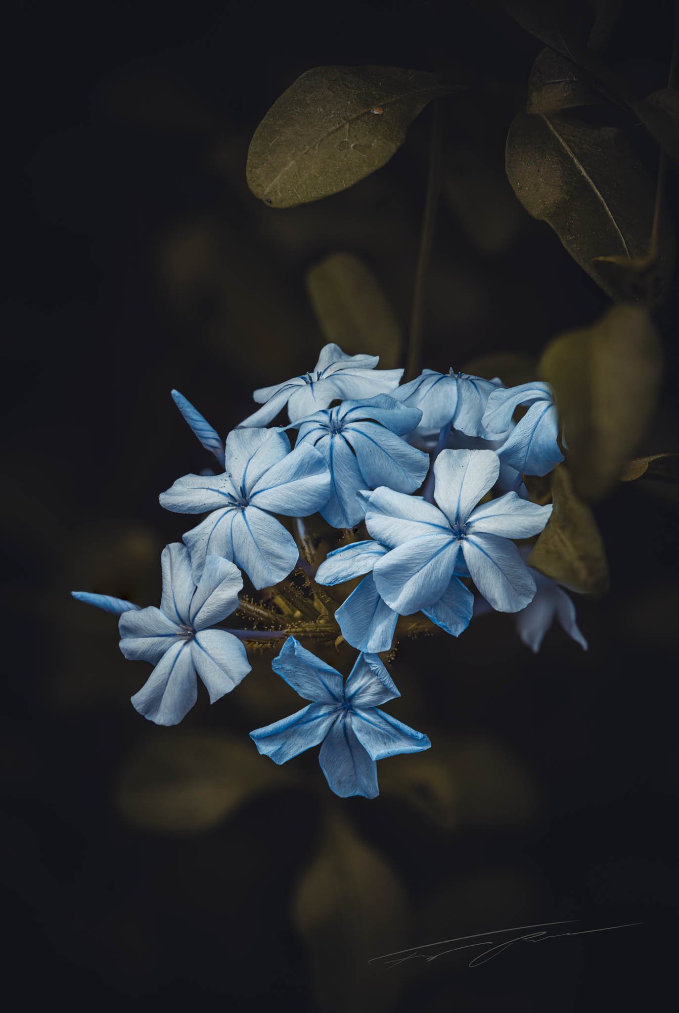 blue.jpg
