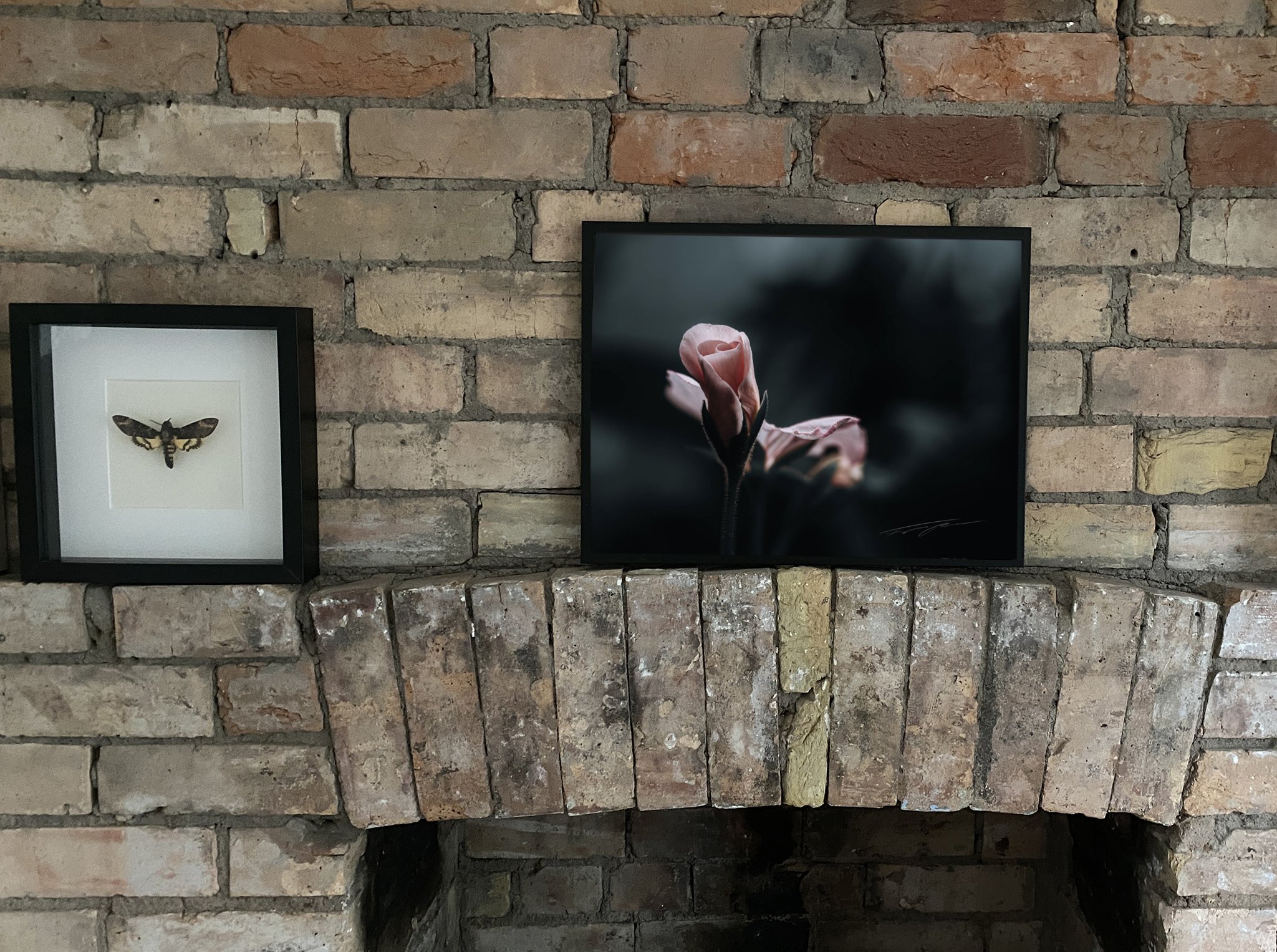 frame2.jpg