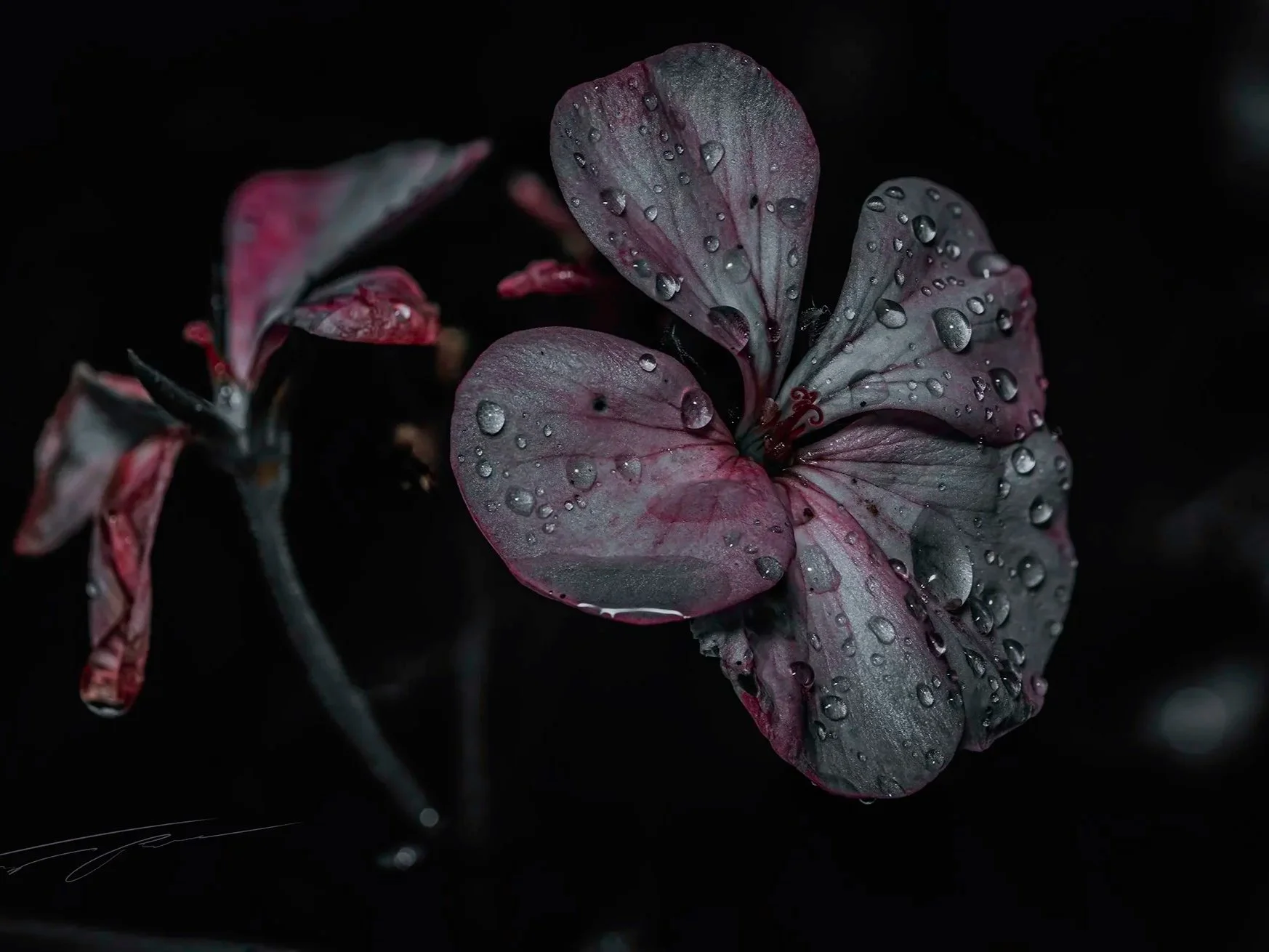 667_6463-Edit+copy.jpg