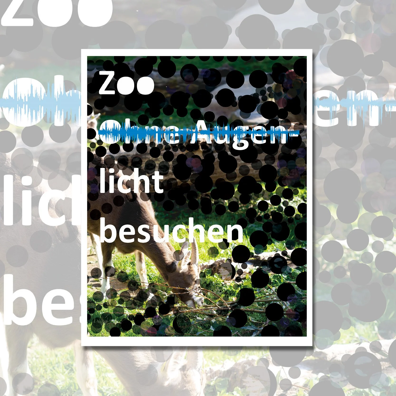 poster6.jpg