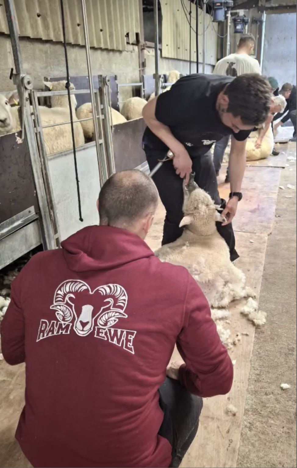 WORKWEAR MERCH ADG DESIGN  LANGHOLM 41.png