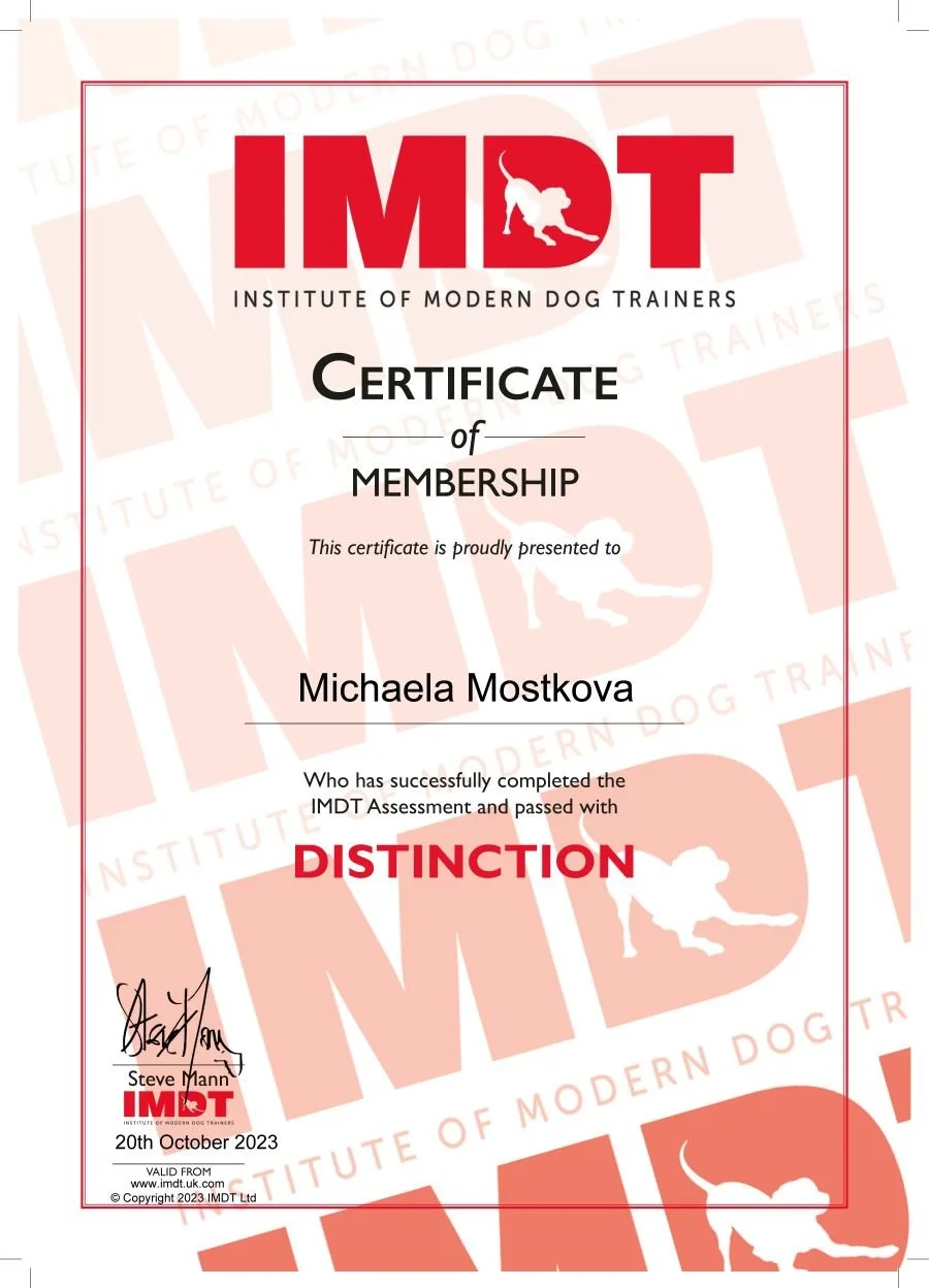 DISTINCTION - Michaela Mostkova.jpg