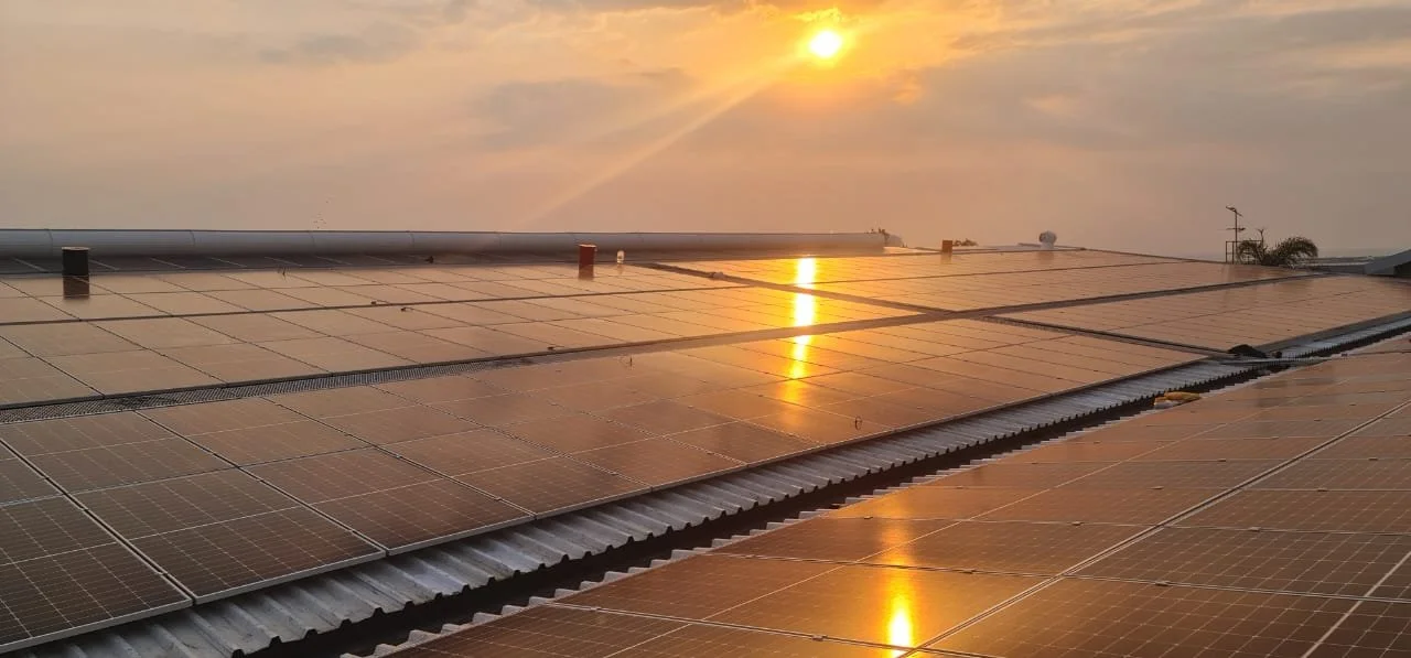 WhatsApp Image 2024-10-10 at 22.32.09.jpeg