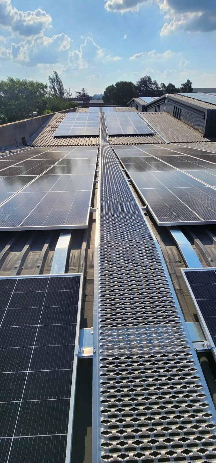 WhatsApp Image 2024-10-10 at 22.30.27.jpeg