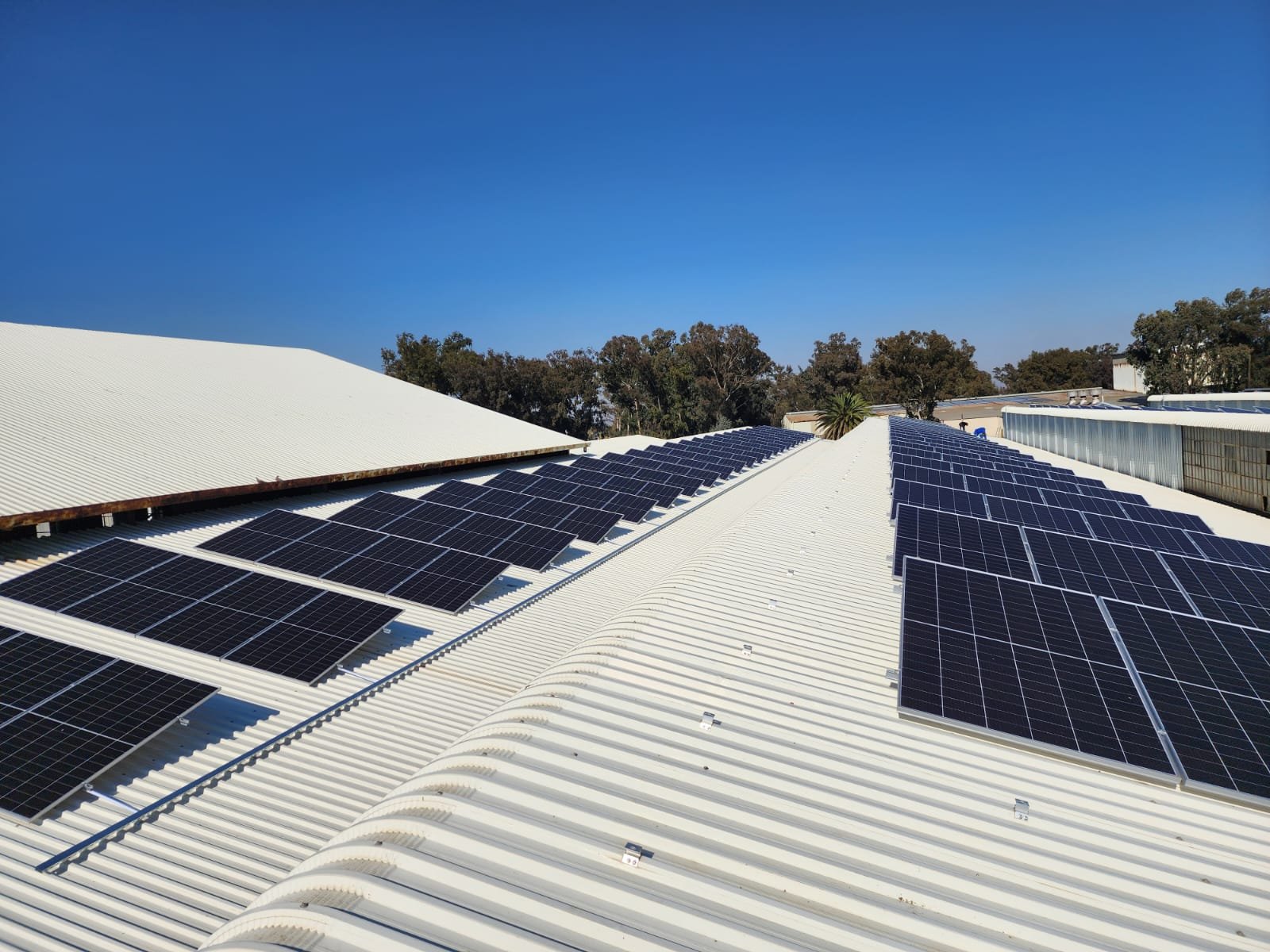 WhatsApp Image 2024-10-10 at 22.30.28 (2).jpeg