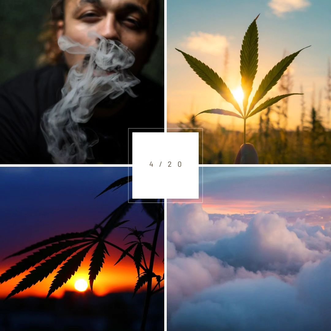 Happy 4/20 ☁️🌿

What better time to 𝕥𝕙𝕒𝕟𝕜 𝕪𝕠𝕦; our customers for supporting us. We're so grateful to serve you in Nepean, Kemptville &amp; Prescott today, and 𝚎𝚟𝚎𝚛𝚢𝚍𝚊𝚢🤍