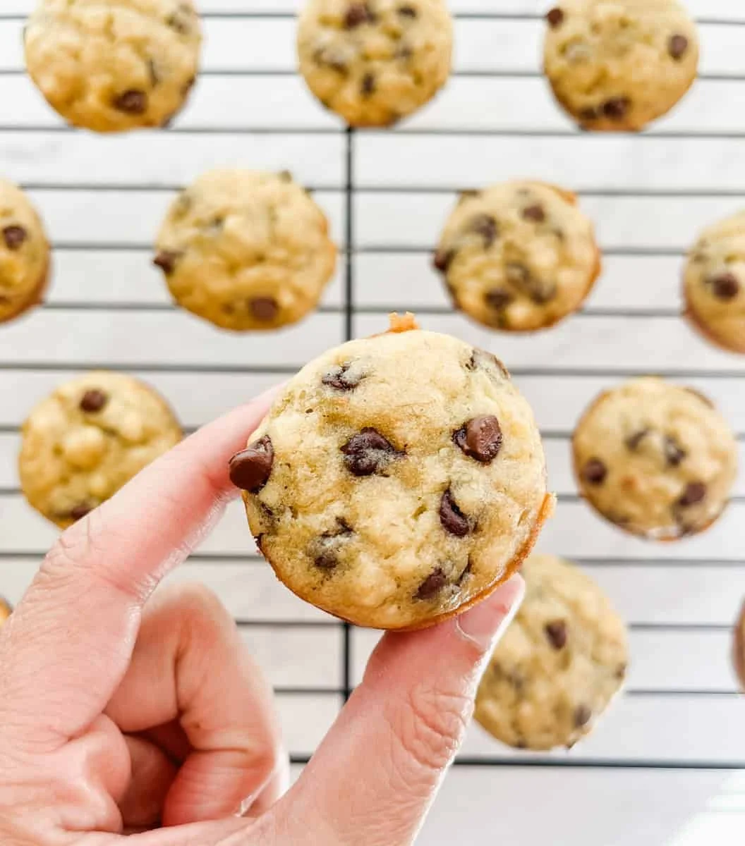 Mini Banana Chocolate Chip Muffins