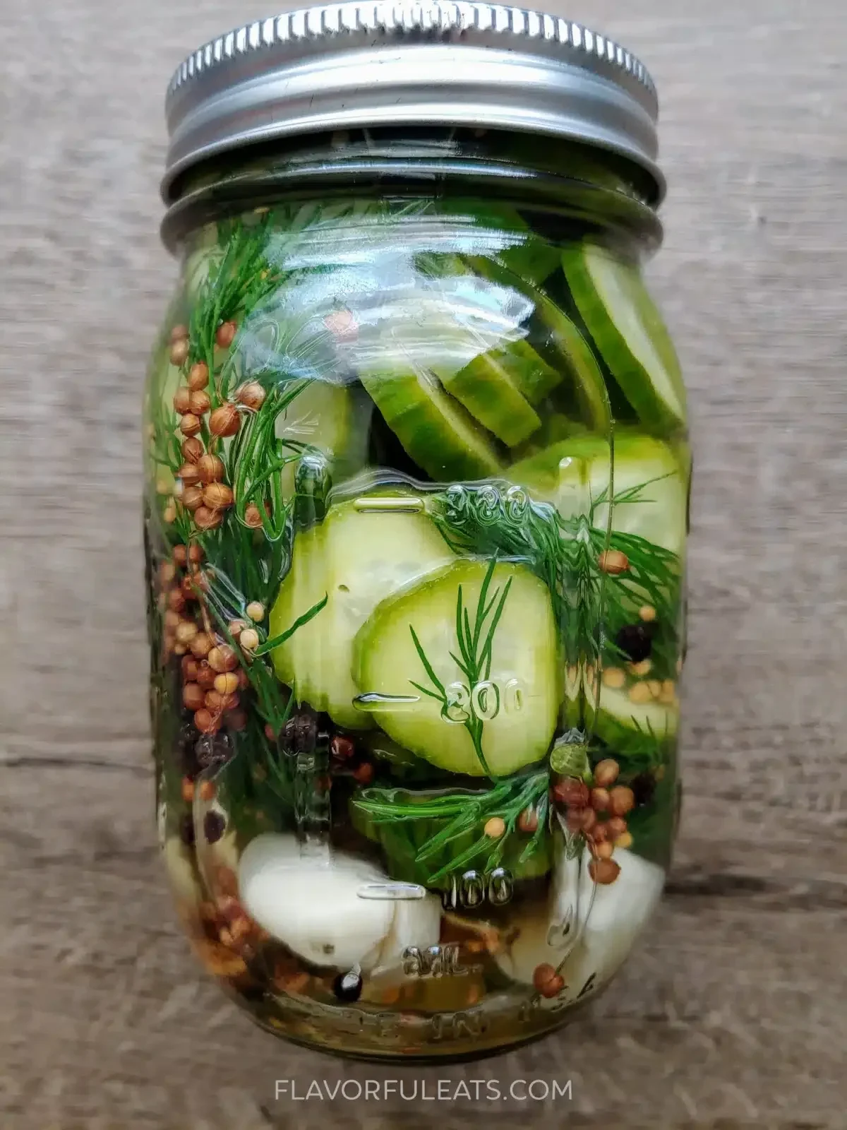 Homemade Garlic Dill Pickles