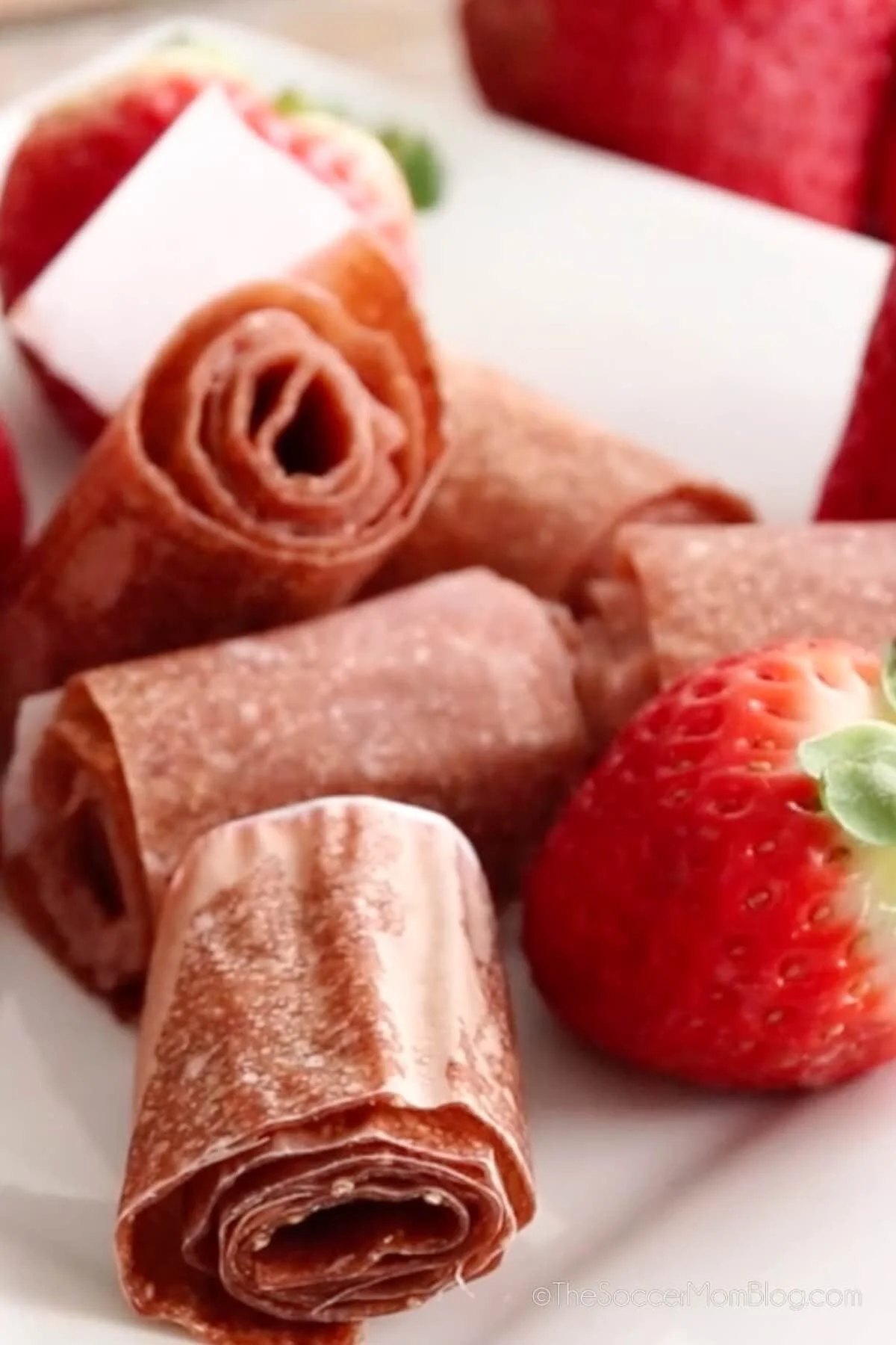 Homemade Fruit Roll-Up
