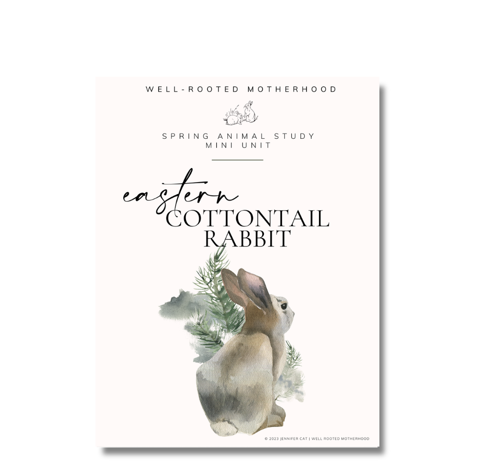 Eastern Cottontail Rabbit Nature Study Mini Unit