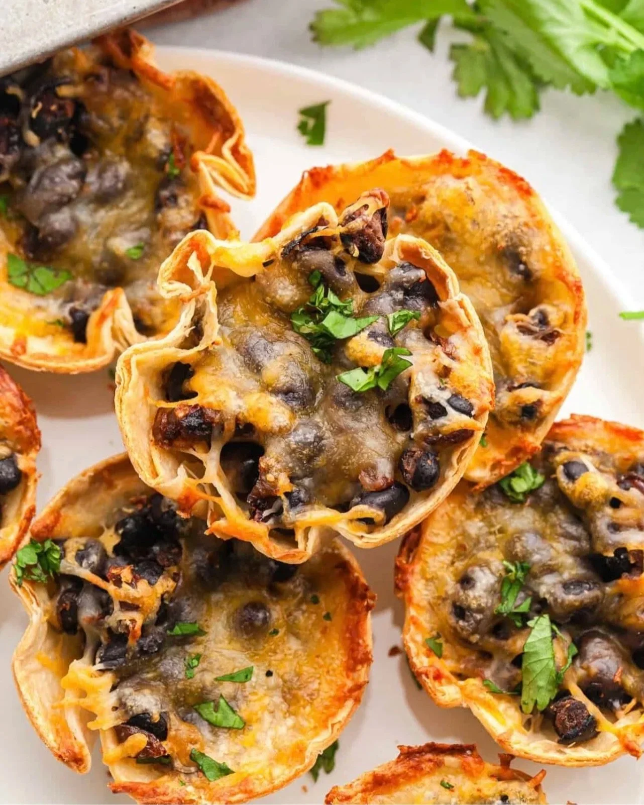 Taco Bites