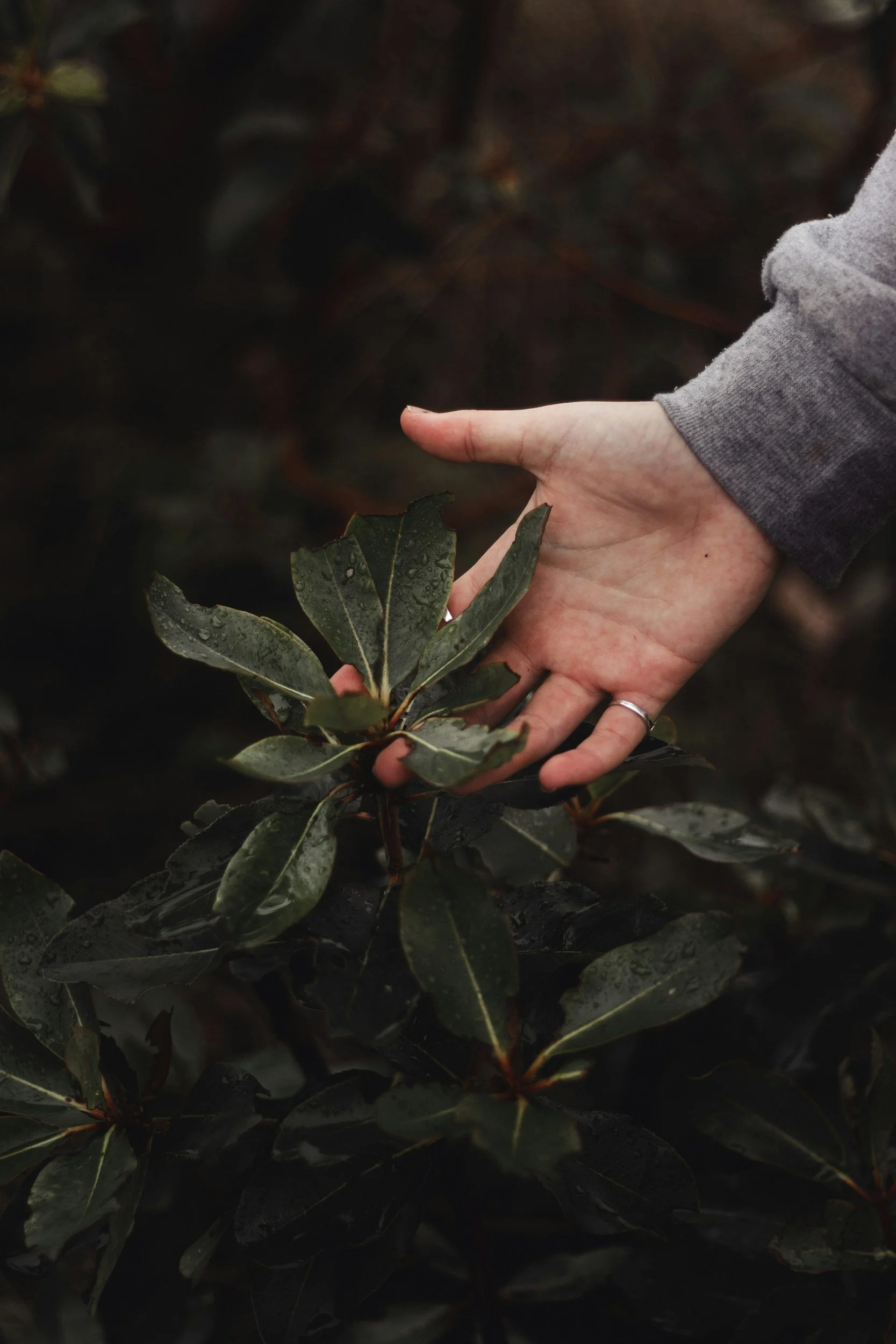 MINDFULNESS: "Rallentare"