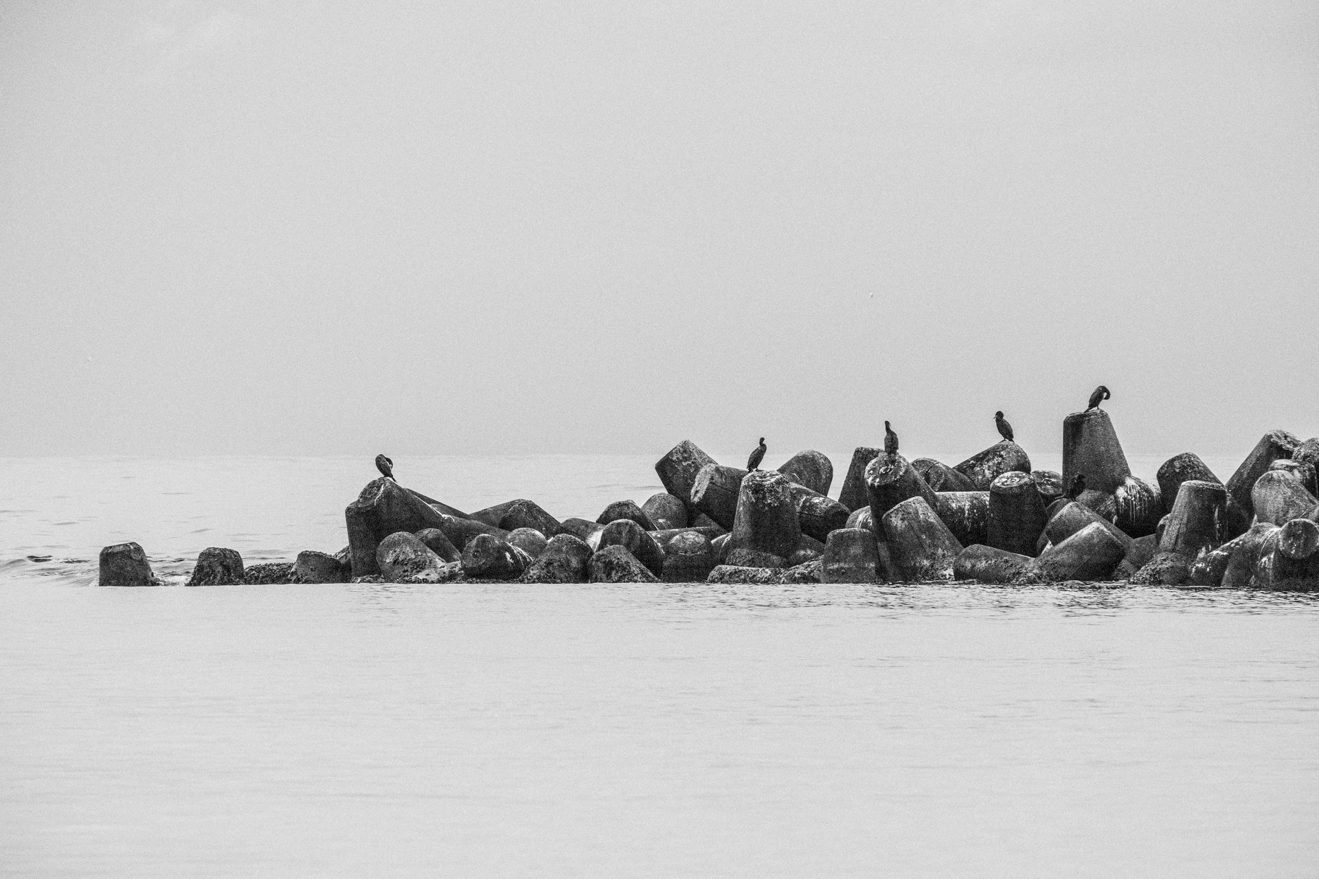 XT3F7769.jpg