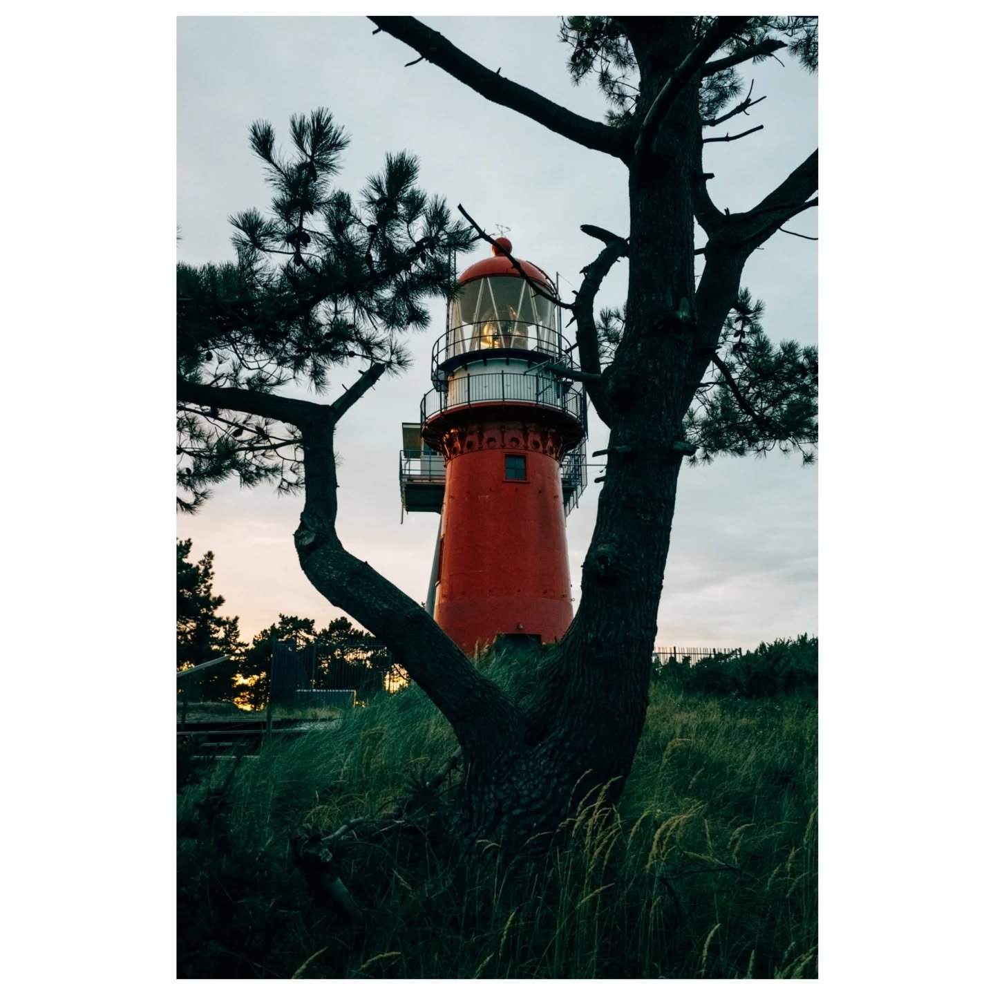 Paying a short visit to two beautiful islands: Vlieland and Terschelling. They have so much to offer that it's impossible to explore them just in one evening. Need to go back there for sure... 🔜

📷 Ricoh GR I 
.
.
.
.
.
#waddenislands #vlieland #te