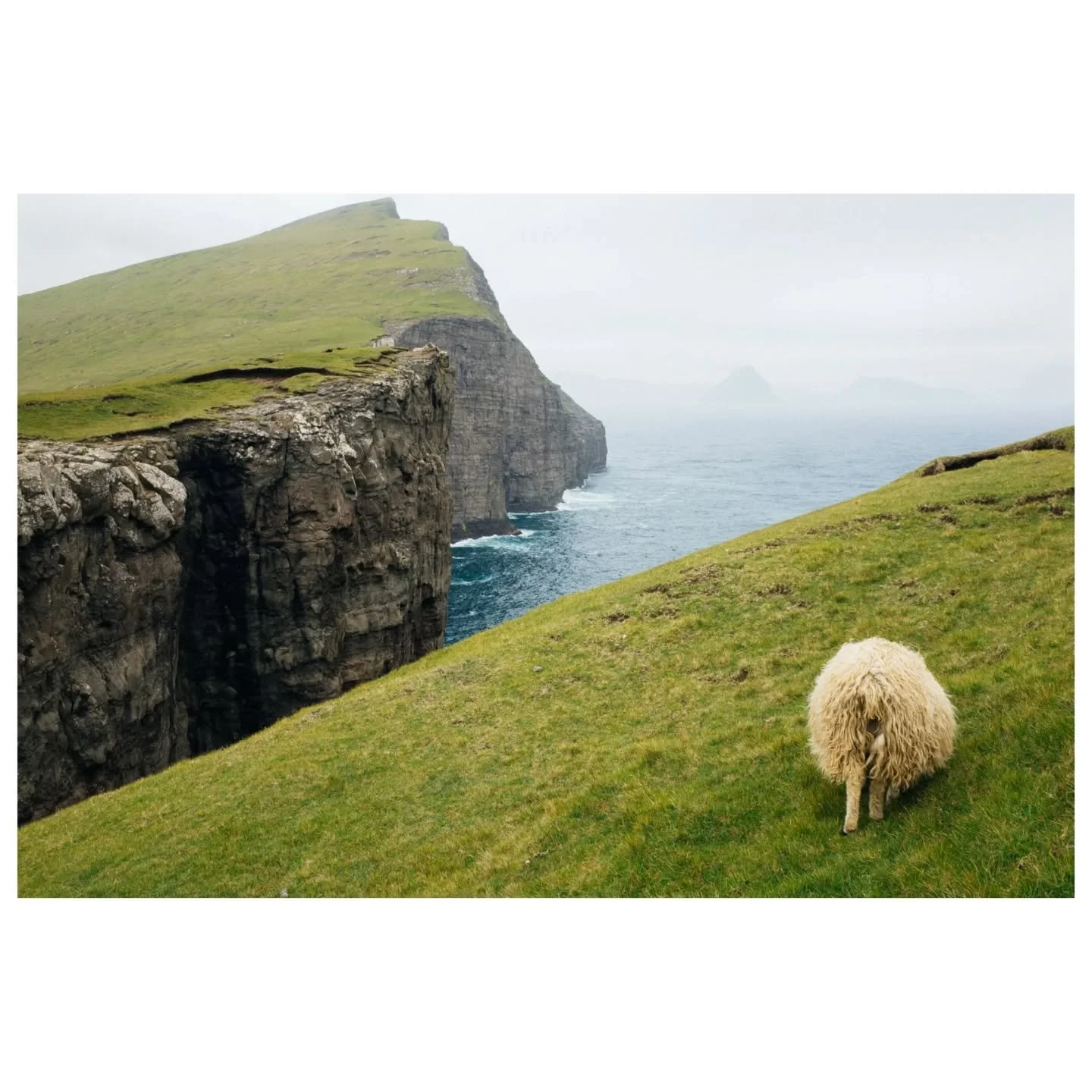 Now it's time for a bit of the Faroe Islands in colour. Loved the lush green landscapes sometimes taken over by thick, low hanging clouds and moments of sunshine. Raw beauty of this place is just breathtaking.

#faroeislands #travelphotography #trave