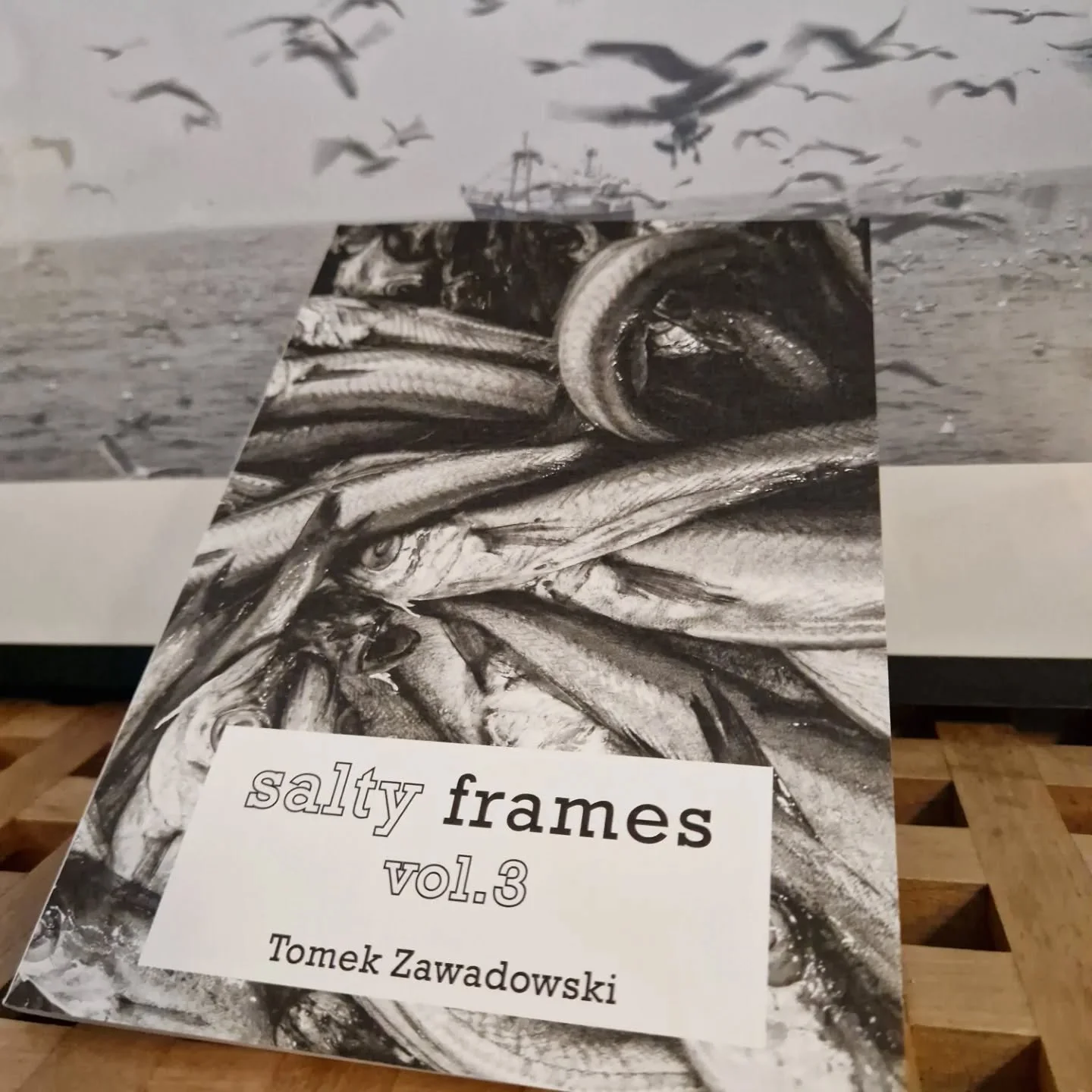 My new zine is available! 
&quot;Salty frames vol.3&quot; gathers images captured throughout 2024 from the North Sea, the Atlantic Ocean, and the waters of the Wadden Sea.

🌊 64 pages softcover book
📷 58 b&amp;w analogue and digital photos 
📔 Cove