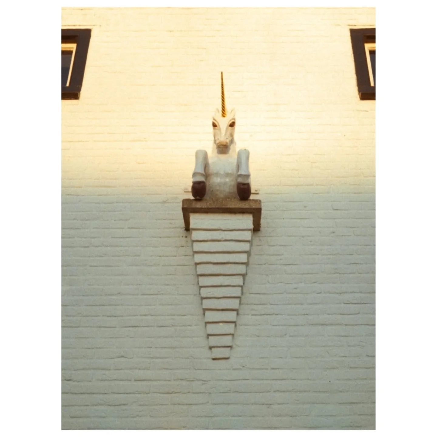 #halfframephotography 
📷 Olympus PEN EE2
🎞️ Polaroid 200 (expired 2004) shot at ISO 50
#expiredfilmgallery