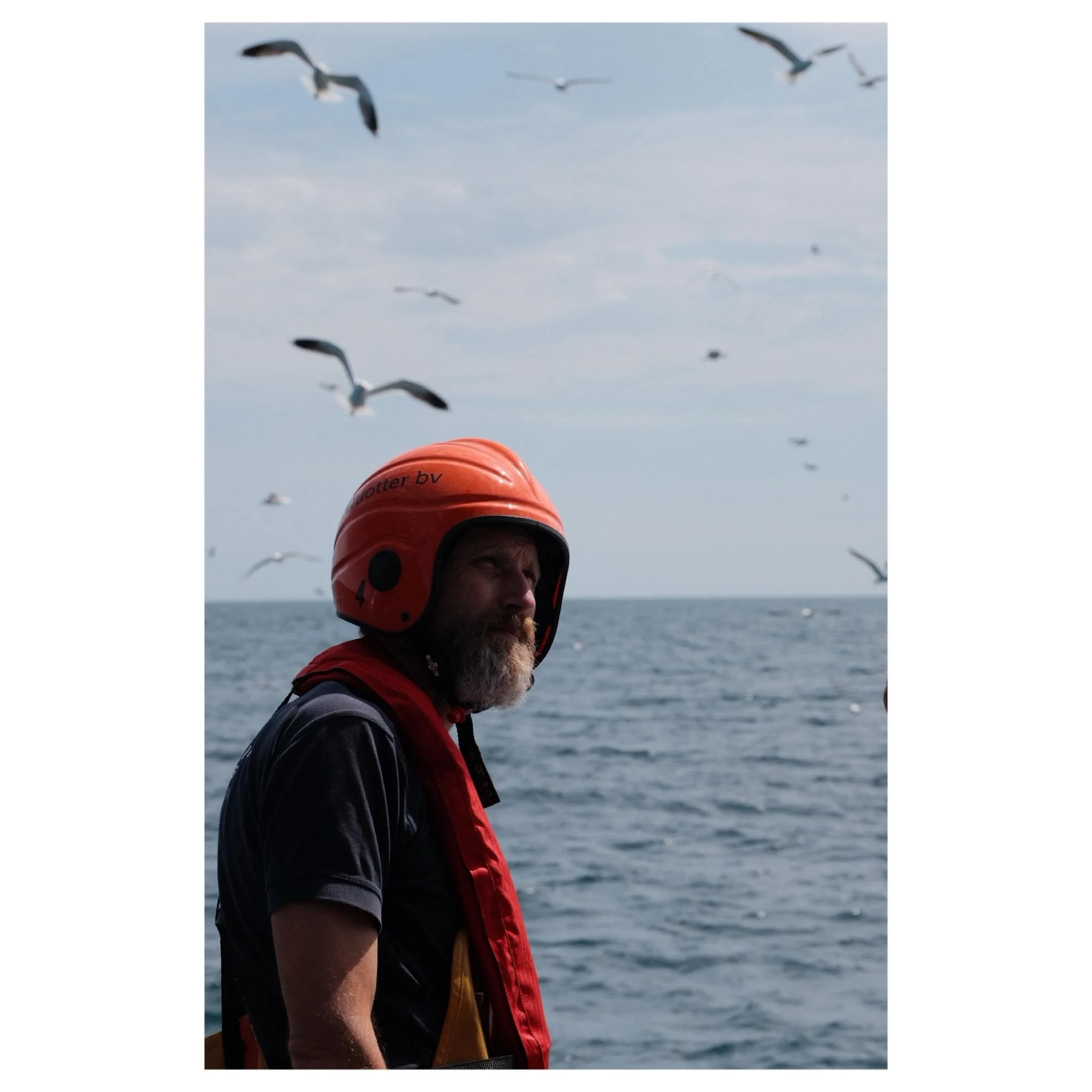 Perspectives // North Sea // June 2026 // Fujifilm X-T3 #seagull #perspectives #saltyframes